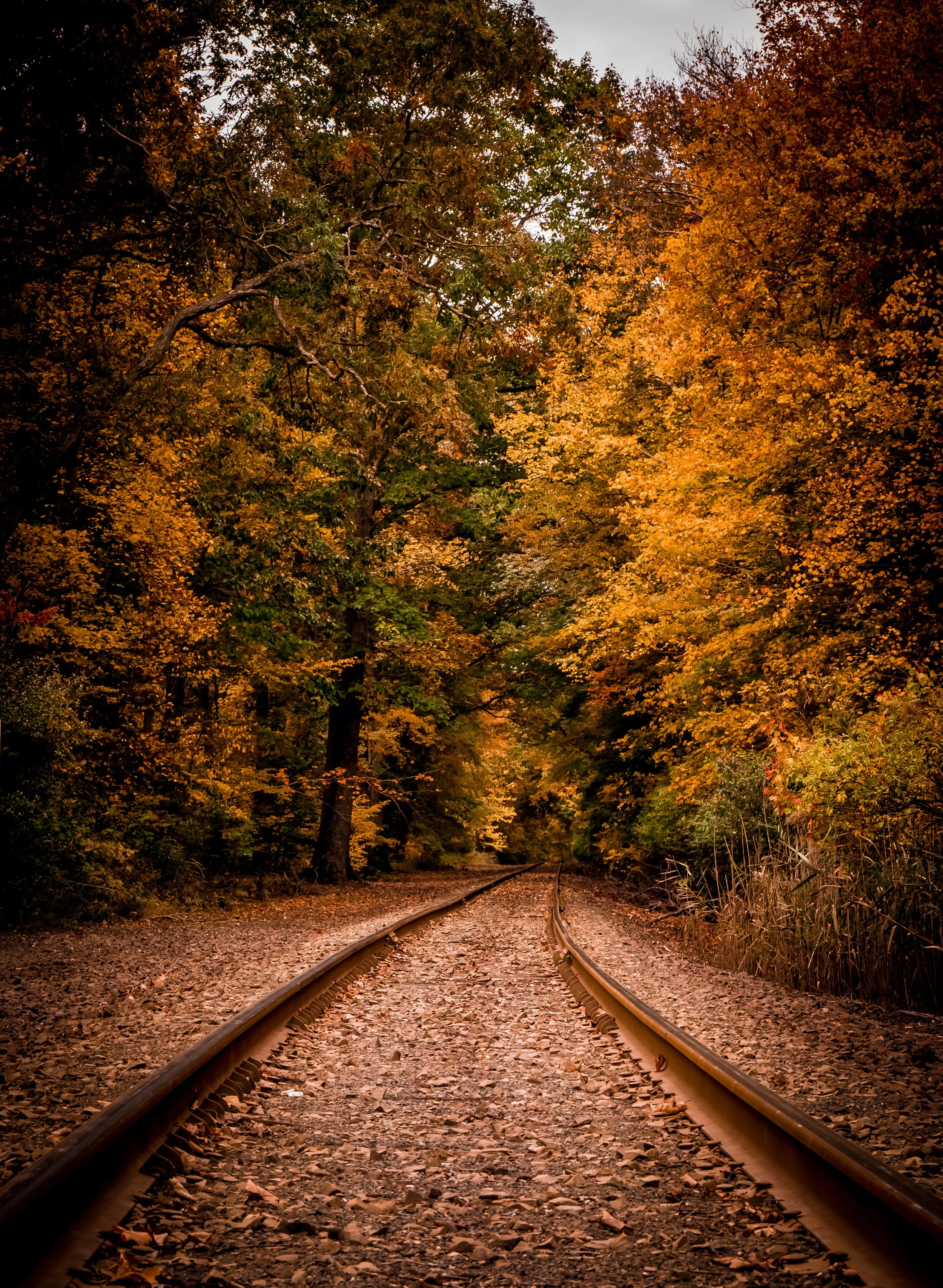 trainRailOrangeleaves-1240164.jpg