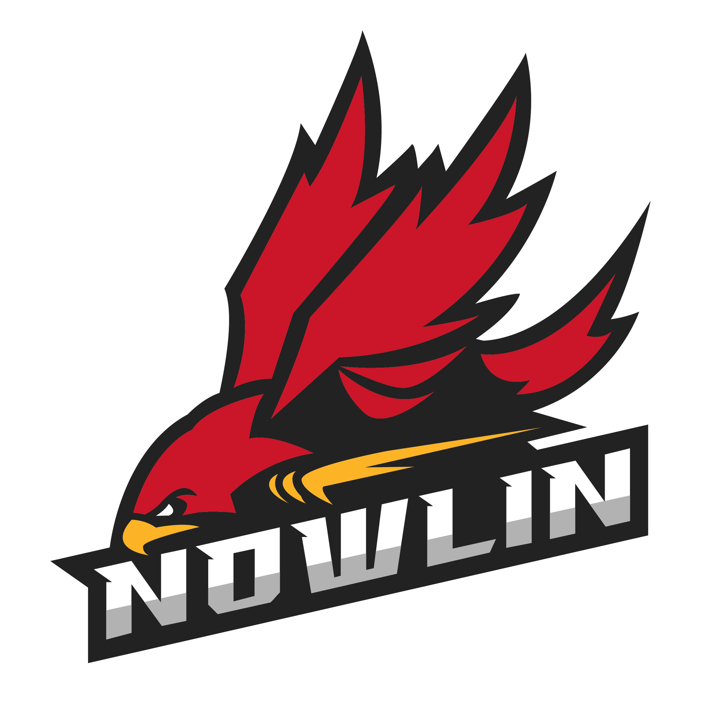 Nowlin_Falcon-larger-01.png