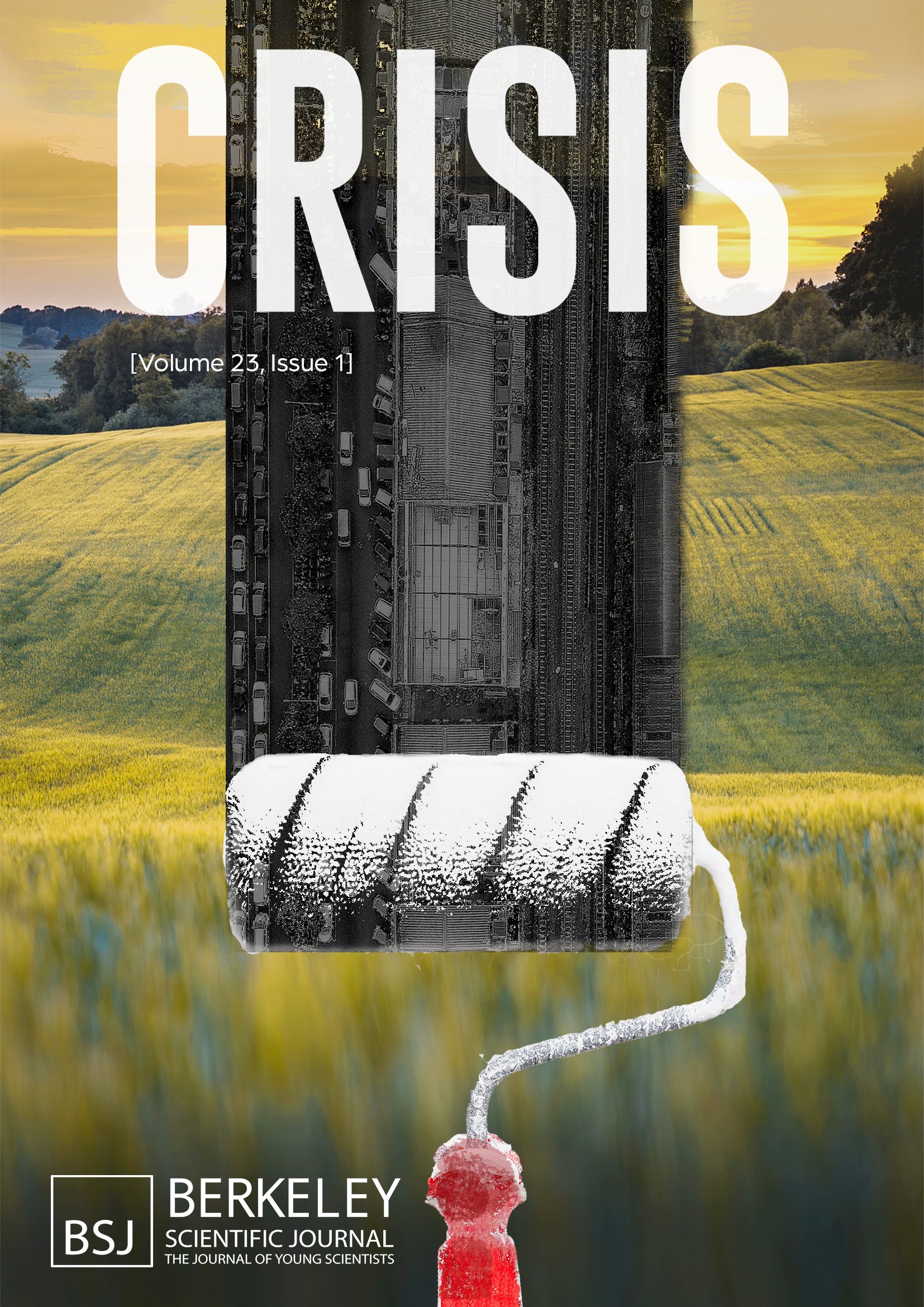 crisis_final_1.jpg