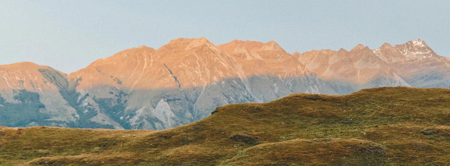 Exploring the Apocalypse: A Deep Dive into the Zomboid Map