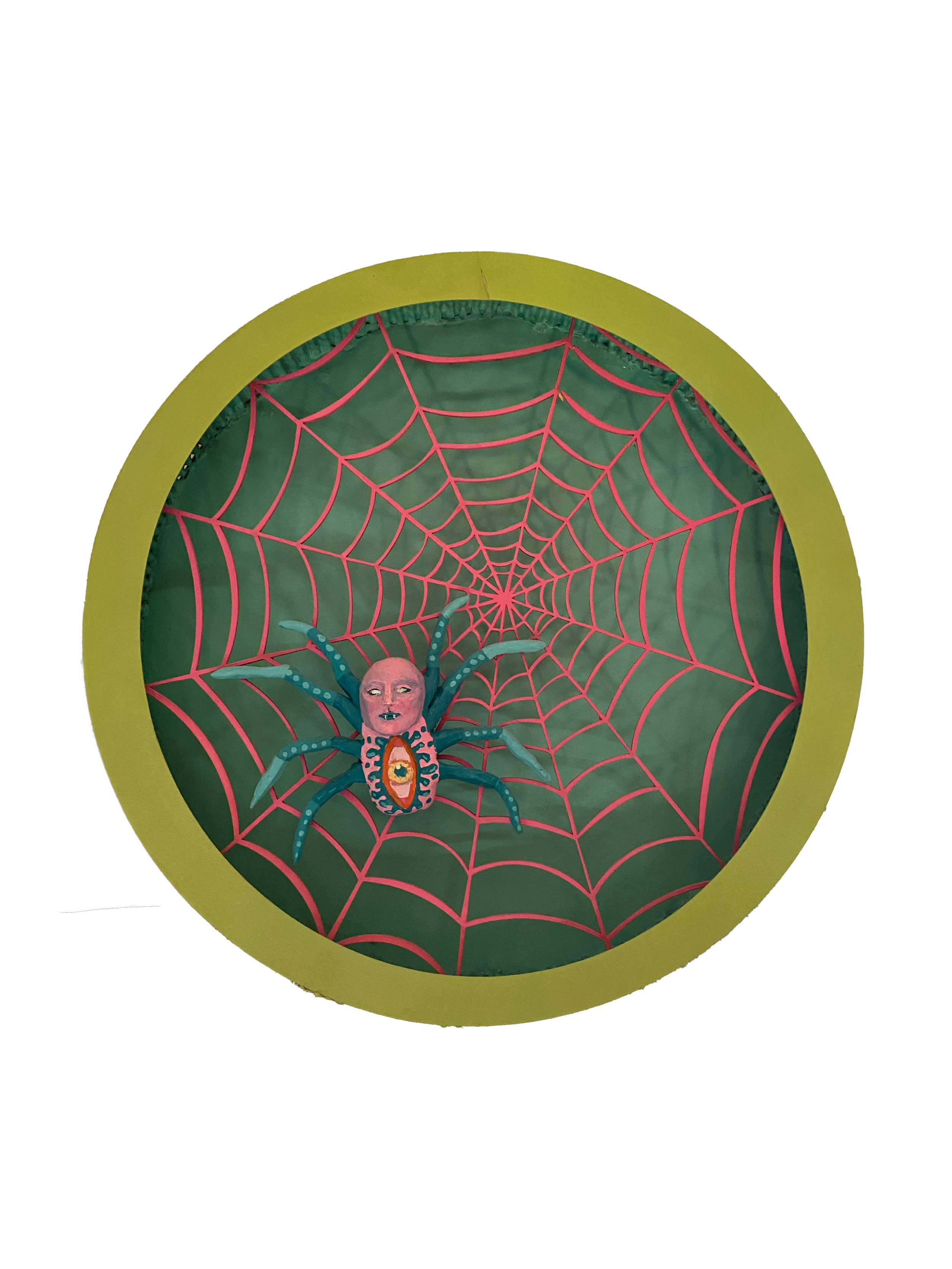 spider.png