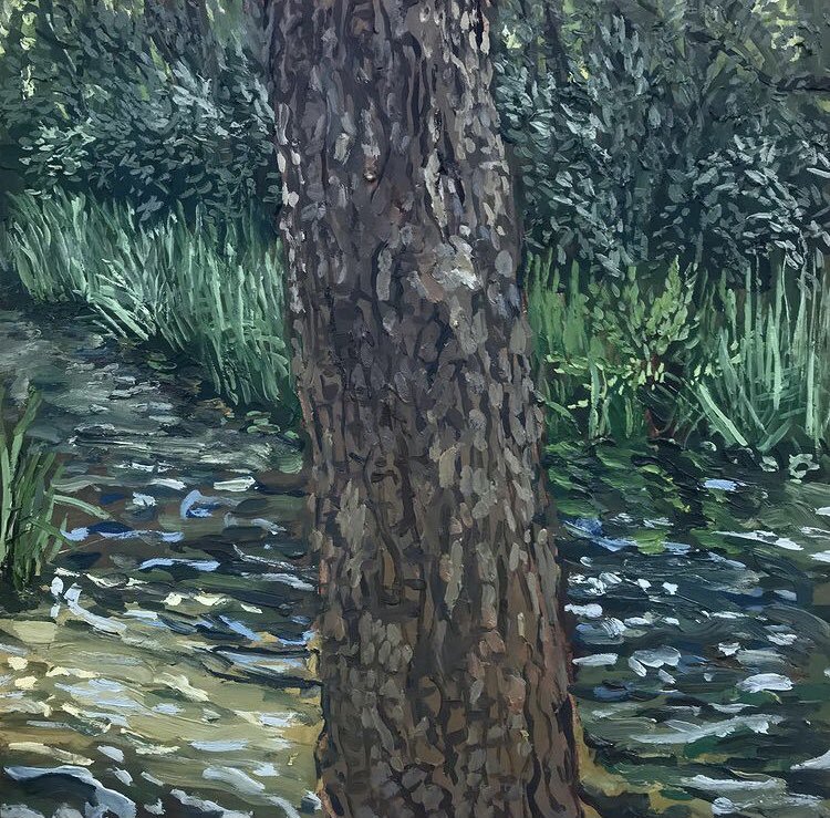 Tree Trunk in Summer 2020