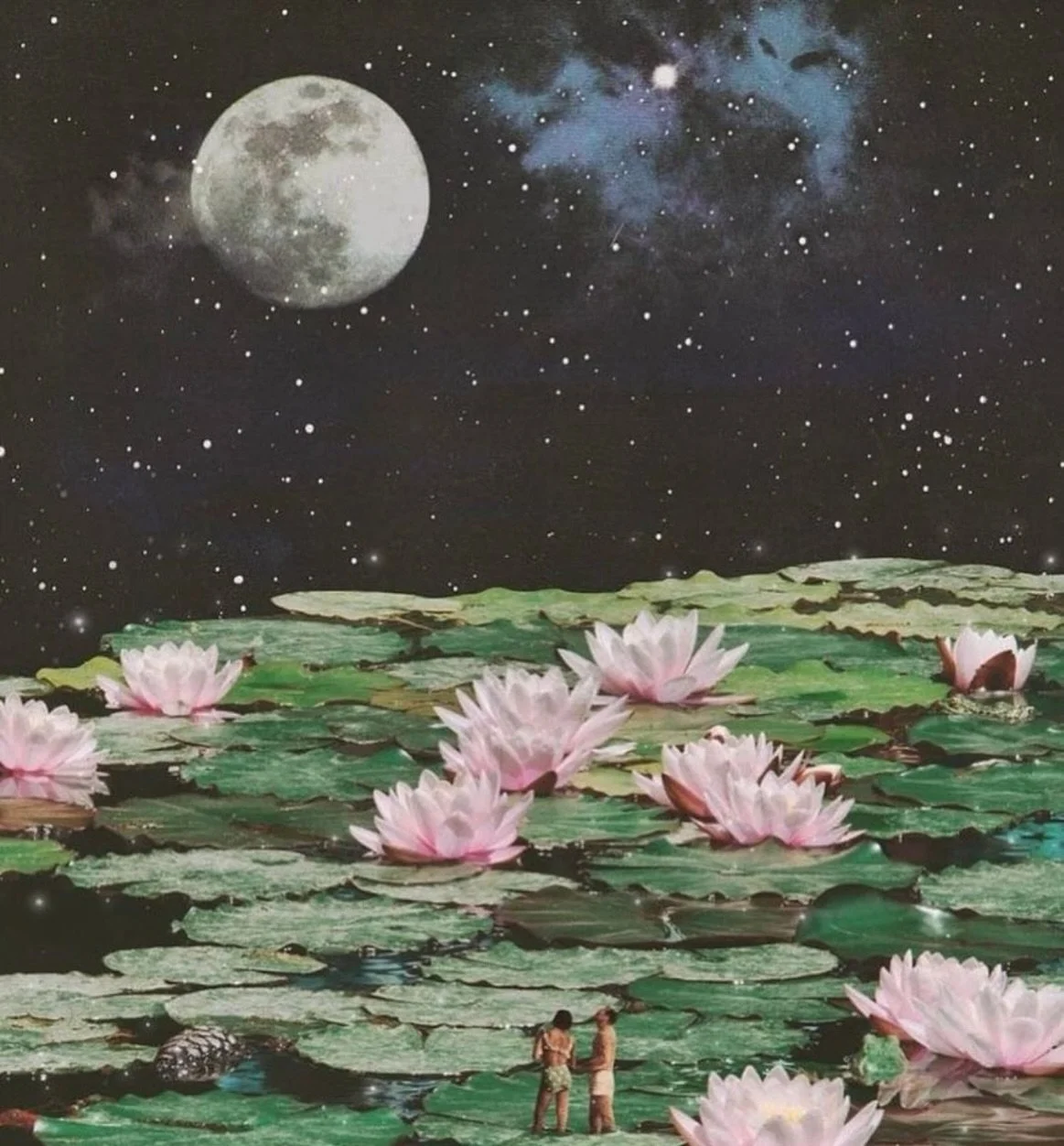 We&rsquo;re just over halfway through our 40-Day Sadhana, practicing in rhythm with the Moon. 🌙

Every 10 days, we receive new educational videos to deepen our connection to lunar qualities, deep, calm, stable and intuitive, while daily Hatha practi