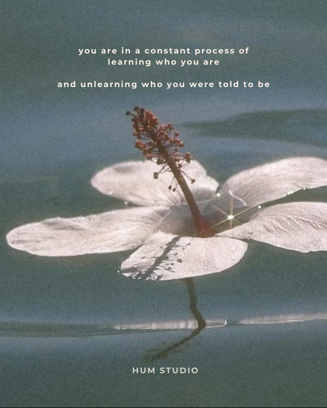 You&rsquo;re allowed to change. 

We are all liquid beings
moving, shifting, learning, unlearning
becoming more and more ourselves.

Your practice is where you discover who that is.

In the quiet
In the stillness. 

#transformation #fyp