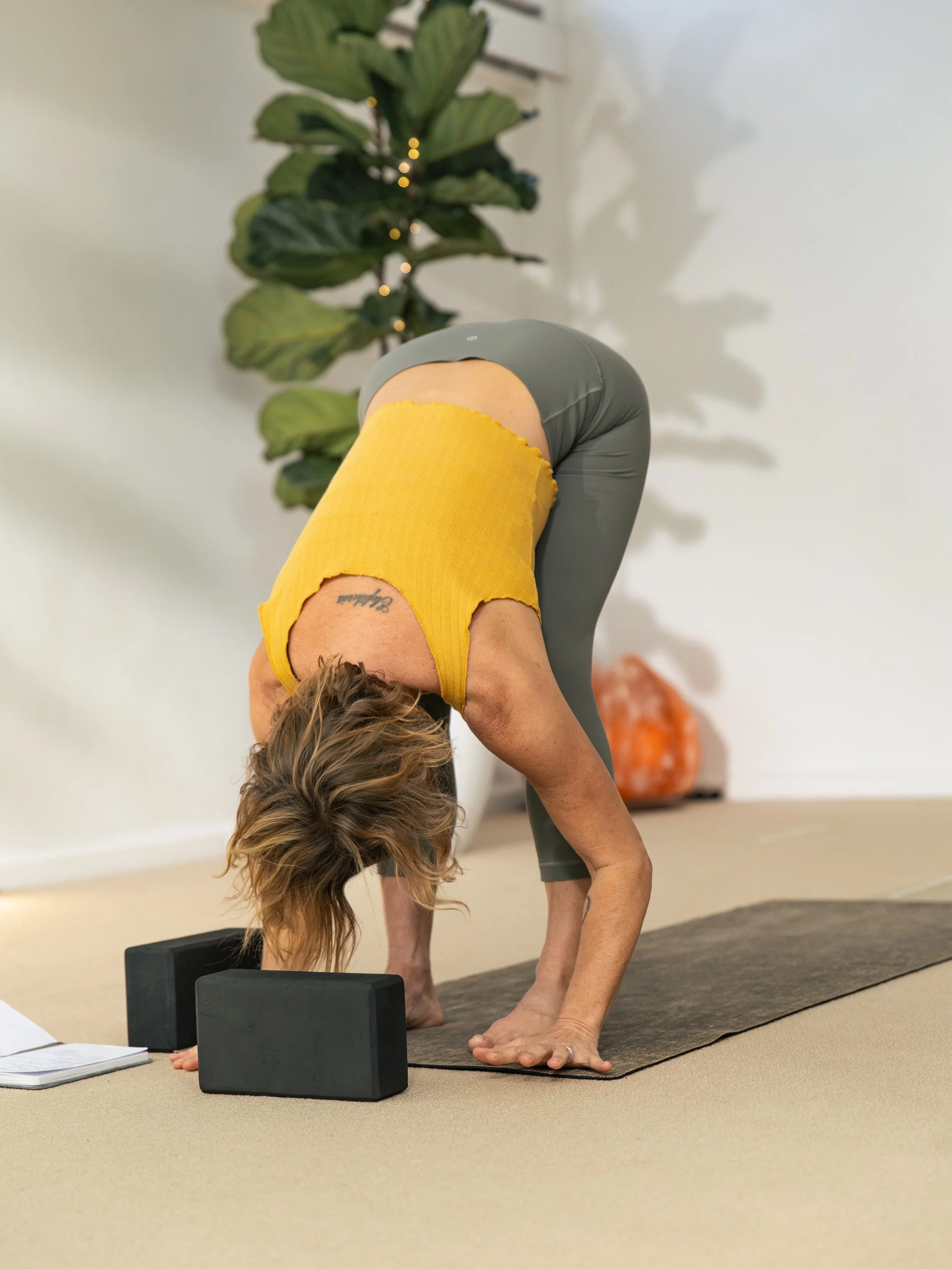 The forward fold is a gesture of surrender.

The back body, a place we cannot easily see, lengthens and awakens. The breath softens, the senses turn inward. What is usually projected outward begins to gather back toward the source.

Forward folds inv