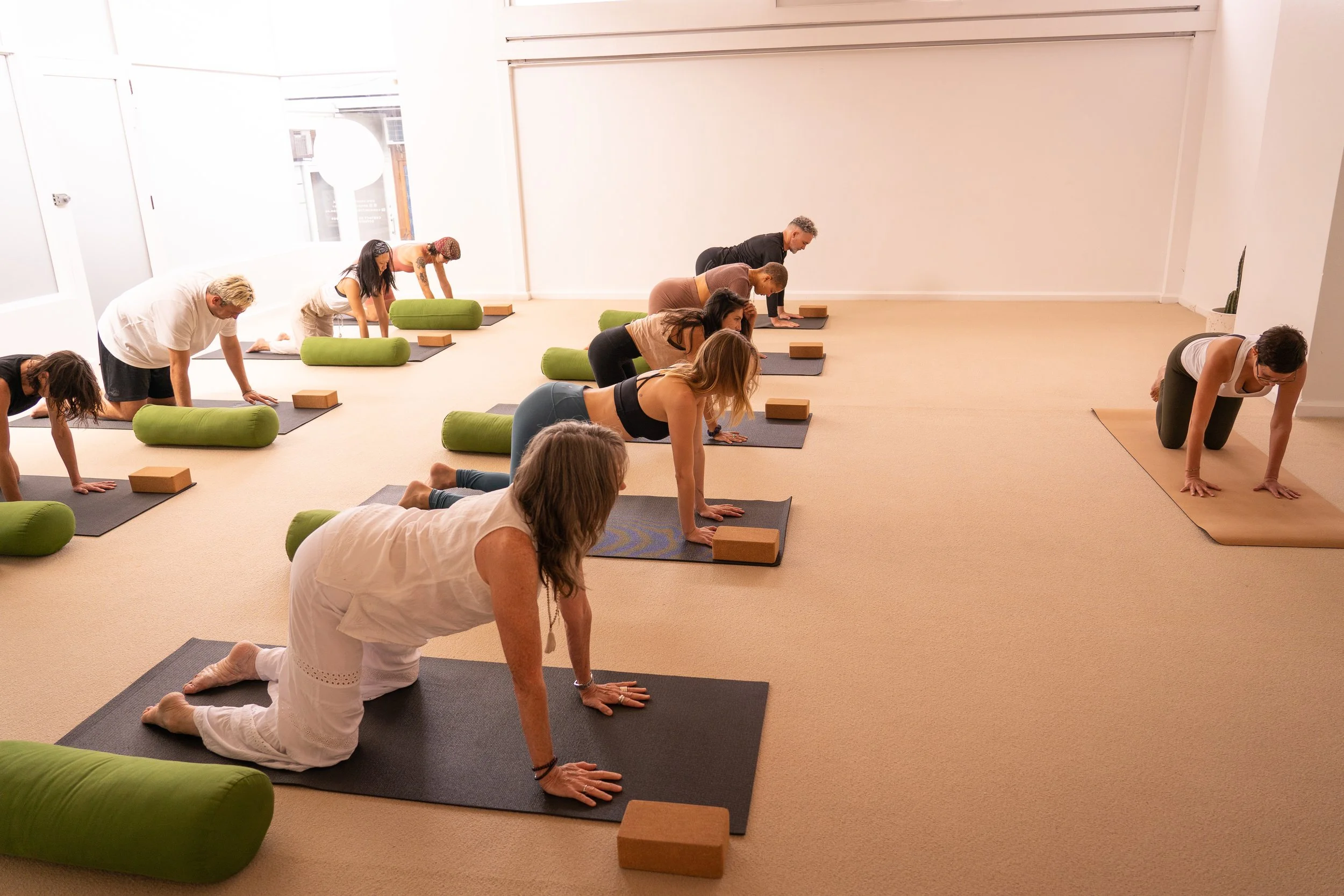 Hatha Yoga Training in Sydney