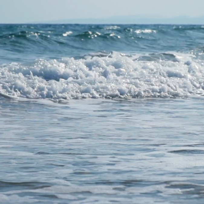 בְּשַׁלַּח