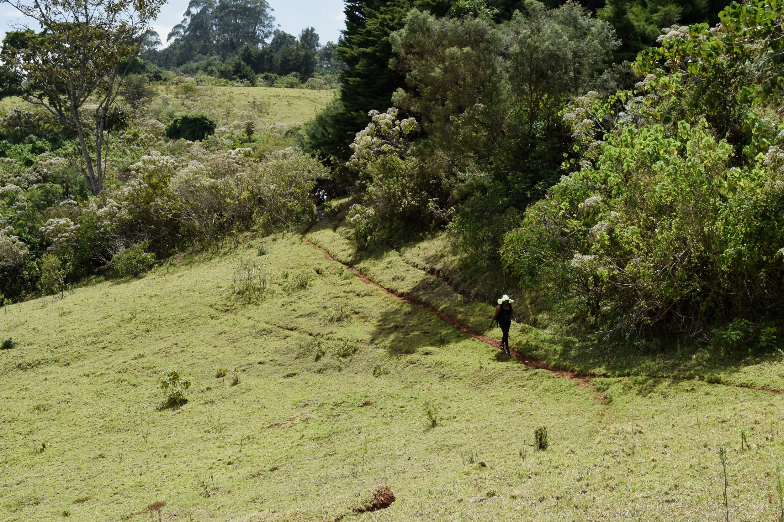 PHASES OF SELF ASCENSION INDIVIDUAL THERAPY WOMAN SITS IN GRASS DURING THE SUNSET