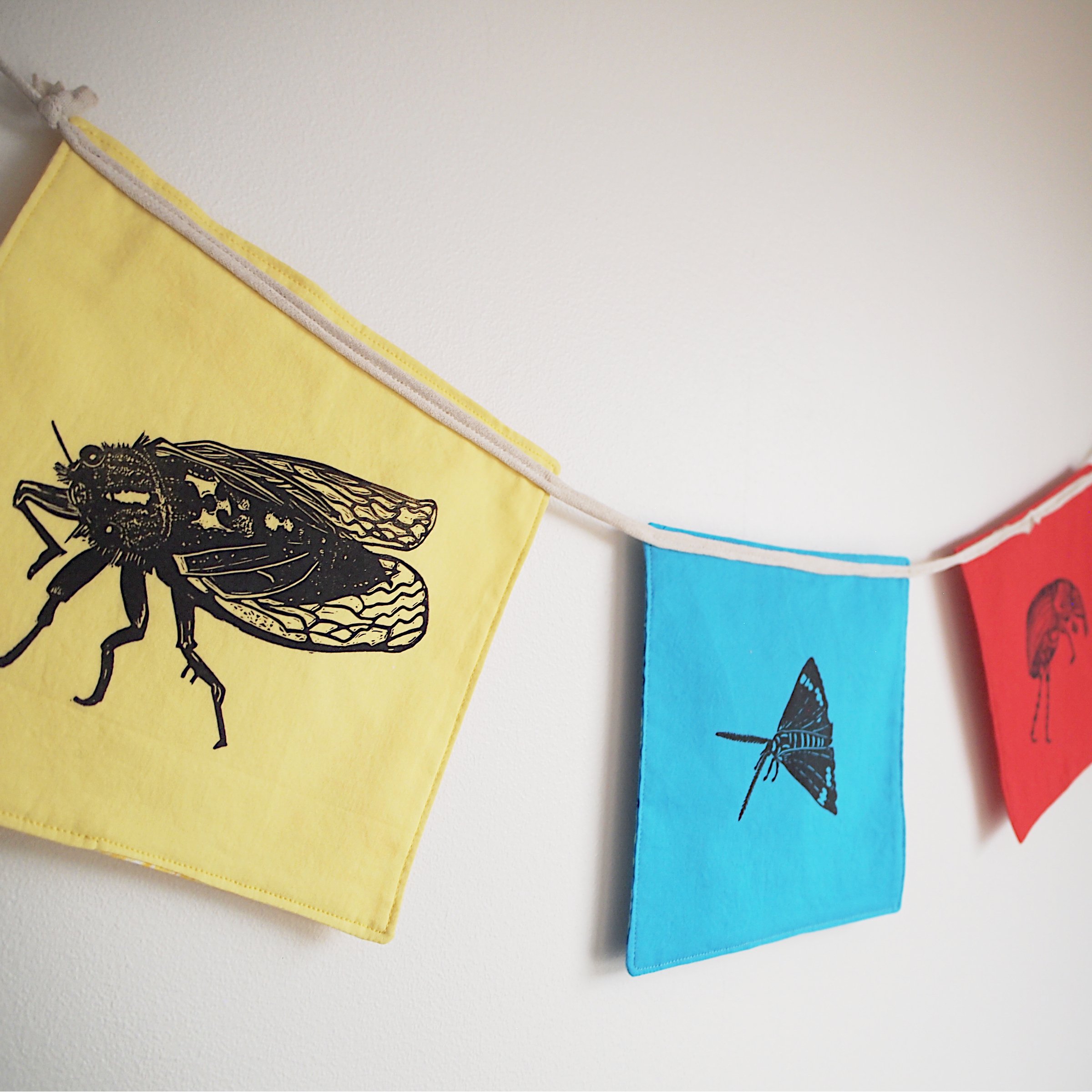 bunting_RYBRG_angle_right.jpg