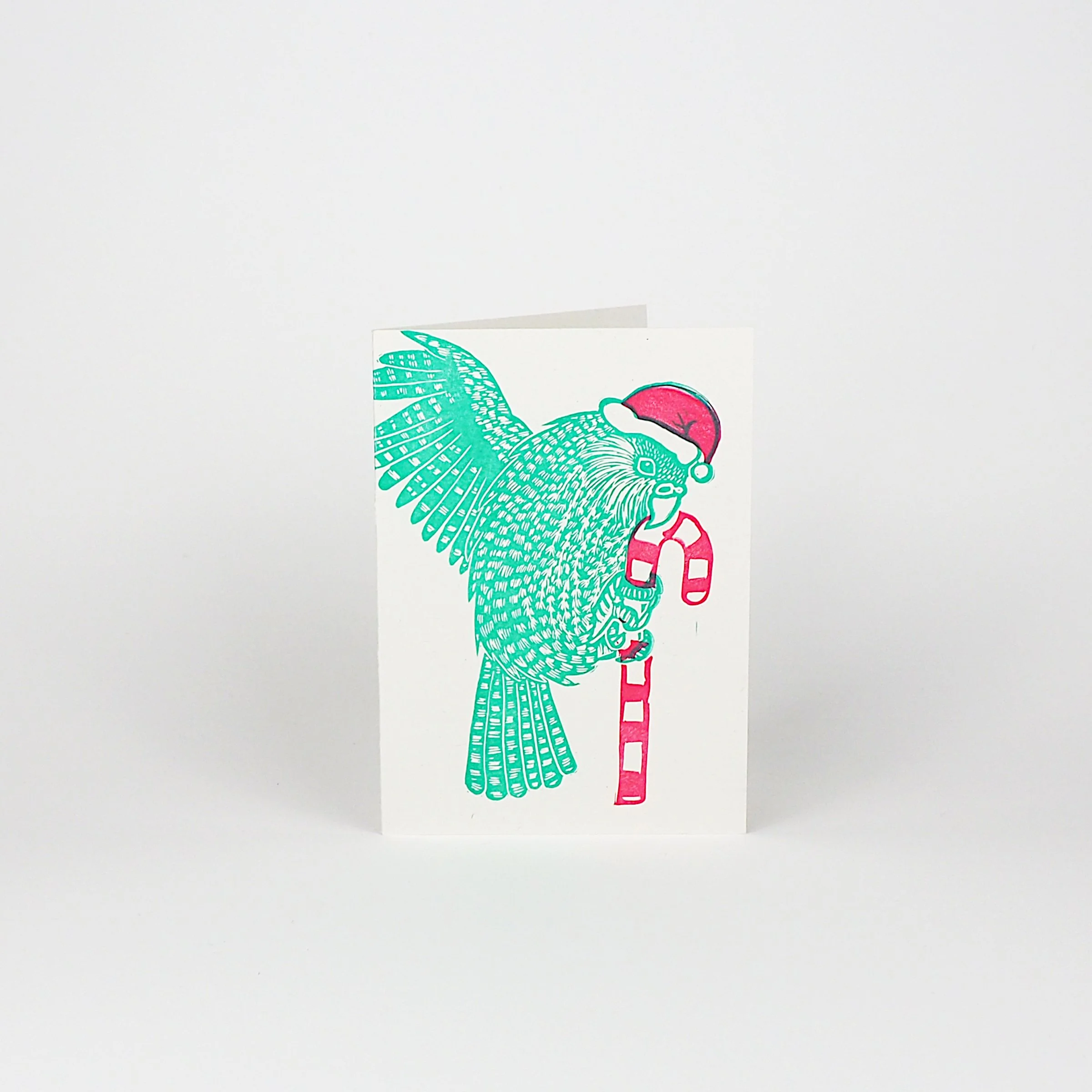 xmas kakapo card front.jpg