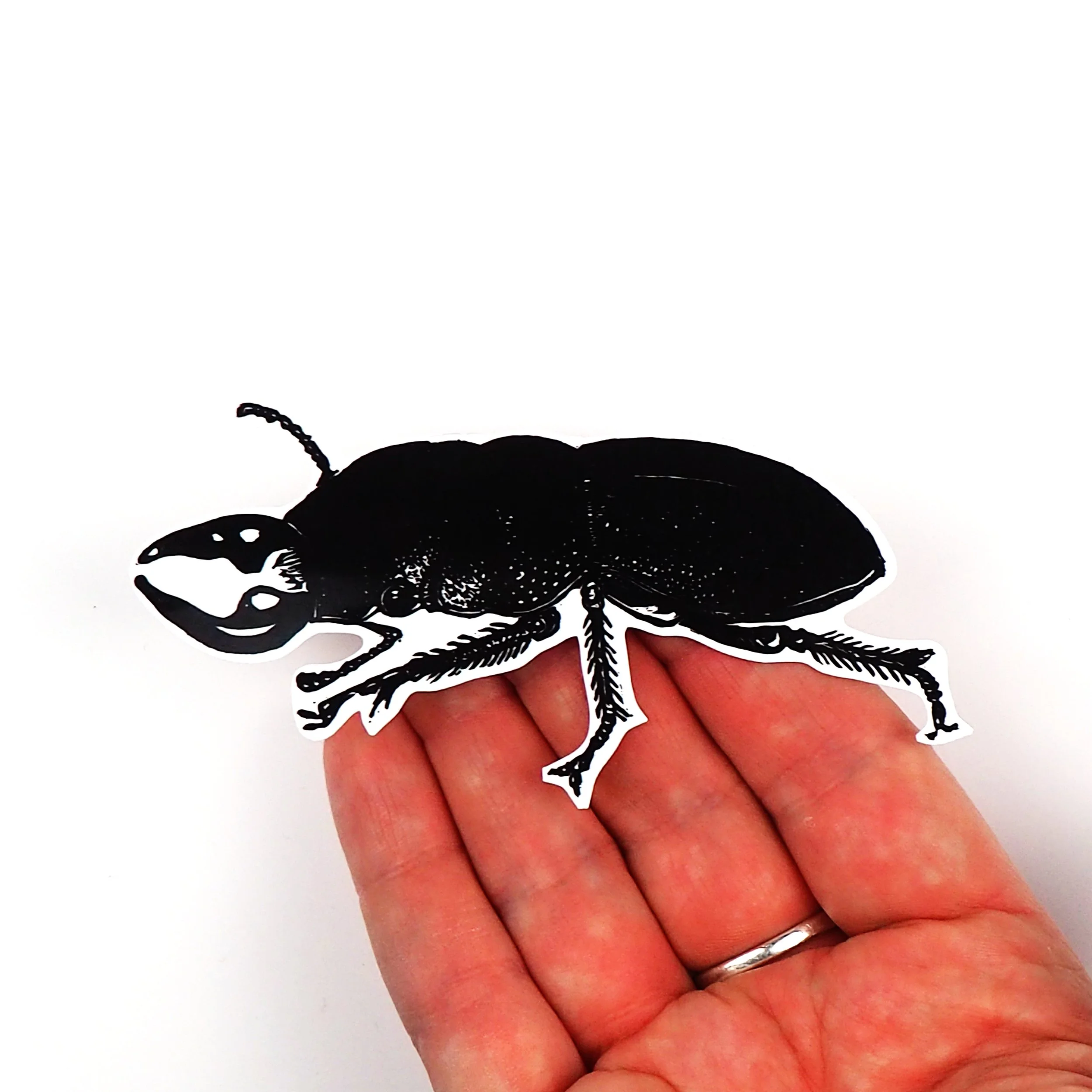 beetle_sticker_hand.jpg