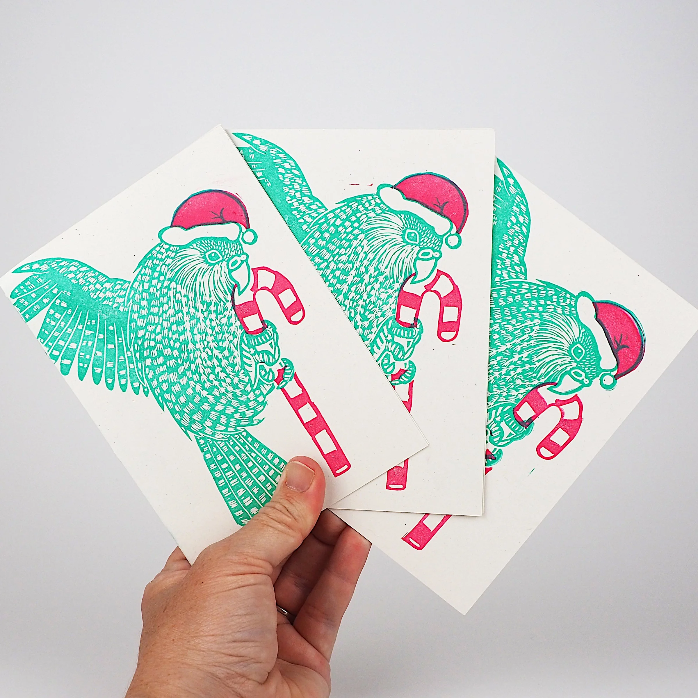xmas kakapo card three in hand.jpg