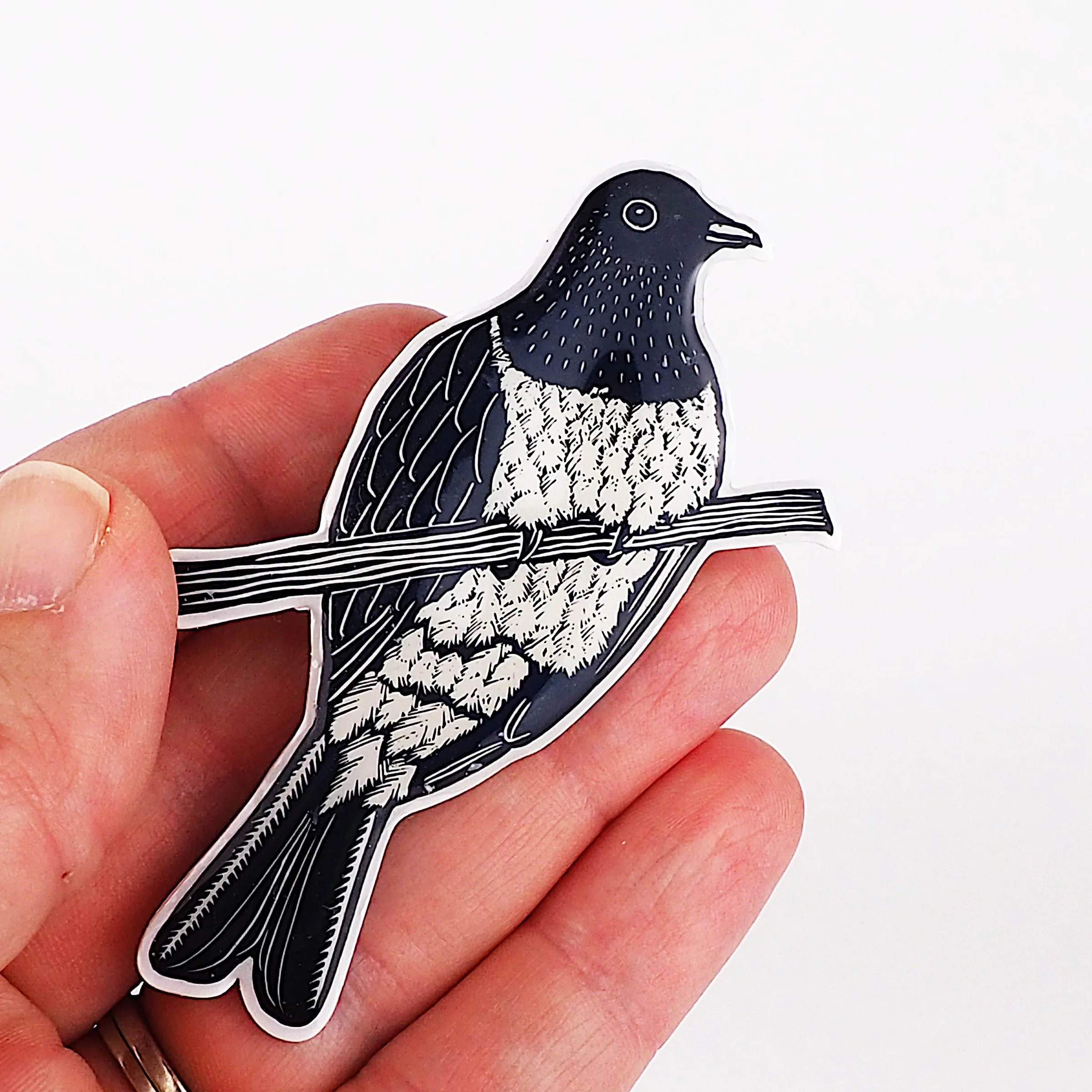 kereru inhand angle.JPG