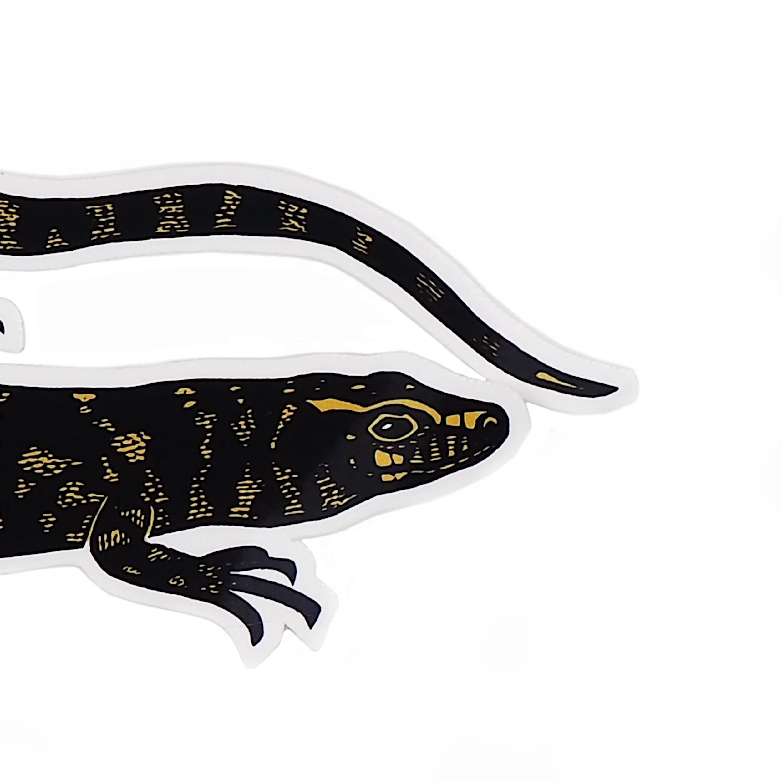 skink_sticker_closeup.jpg