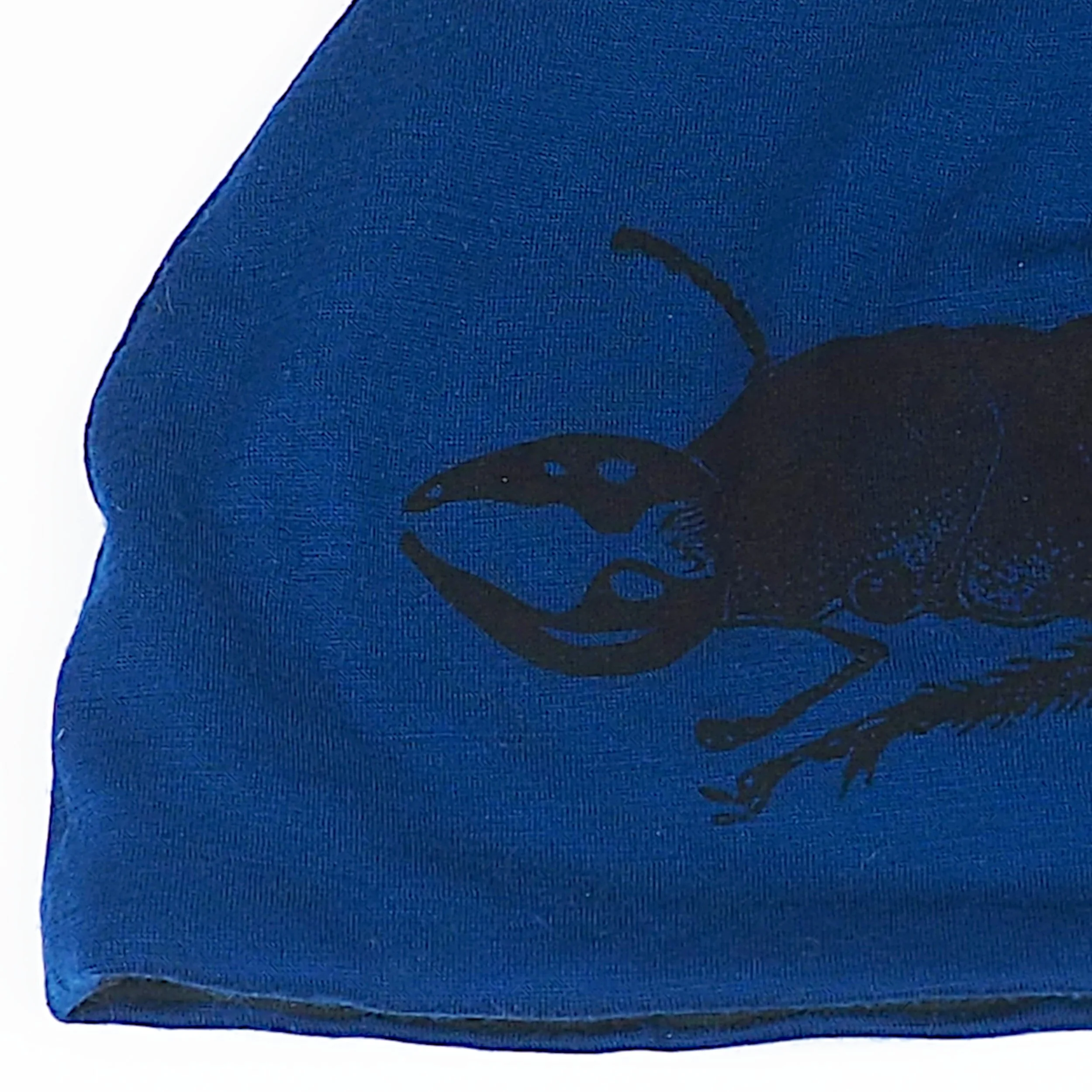 beetle_beanie_blue_closeup.jpg