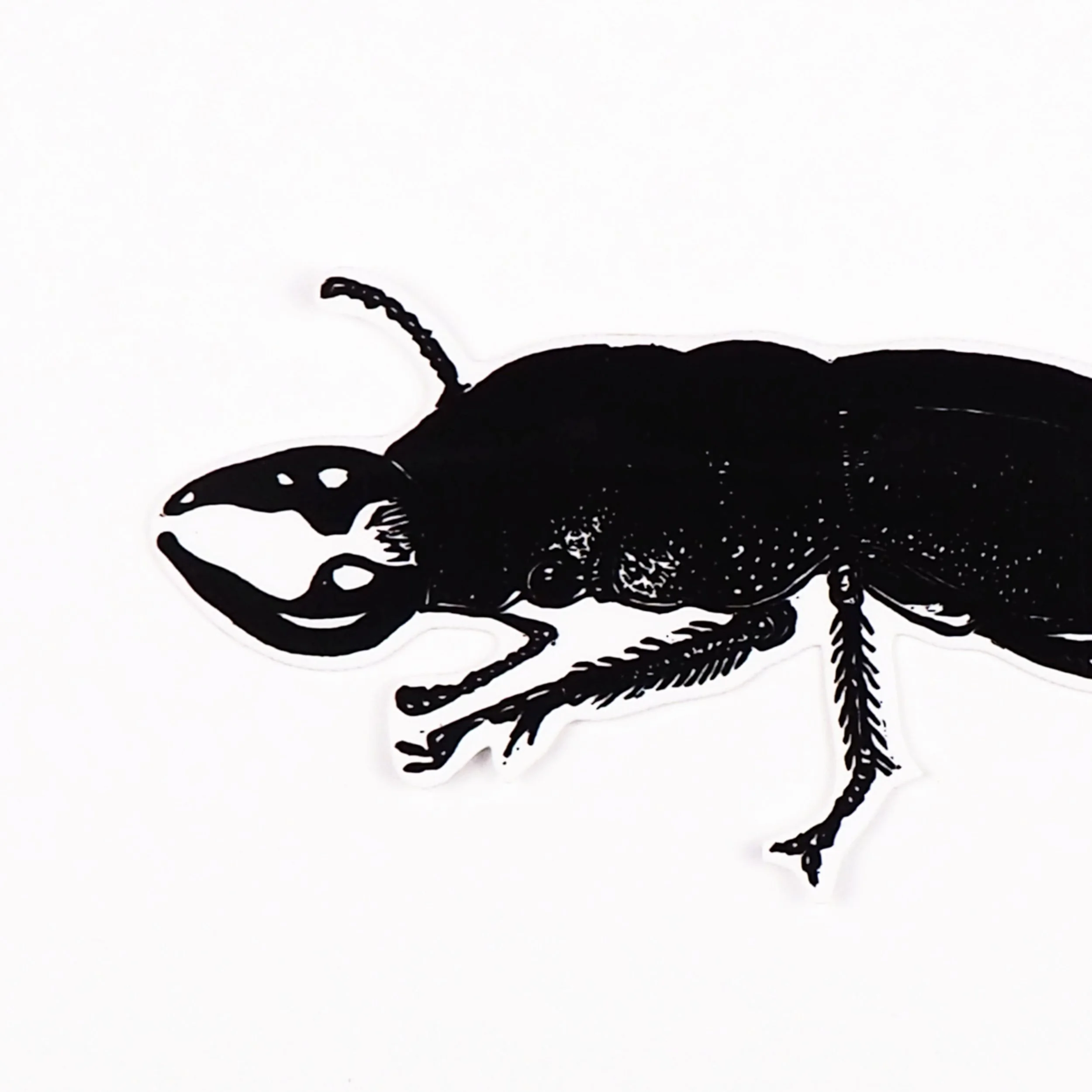 beetle_sticker_closeup.jpg