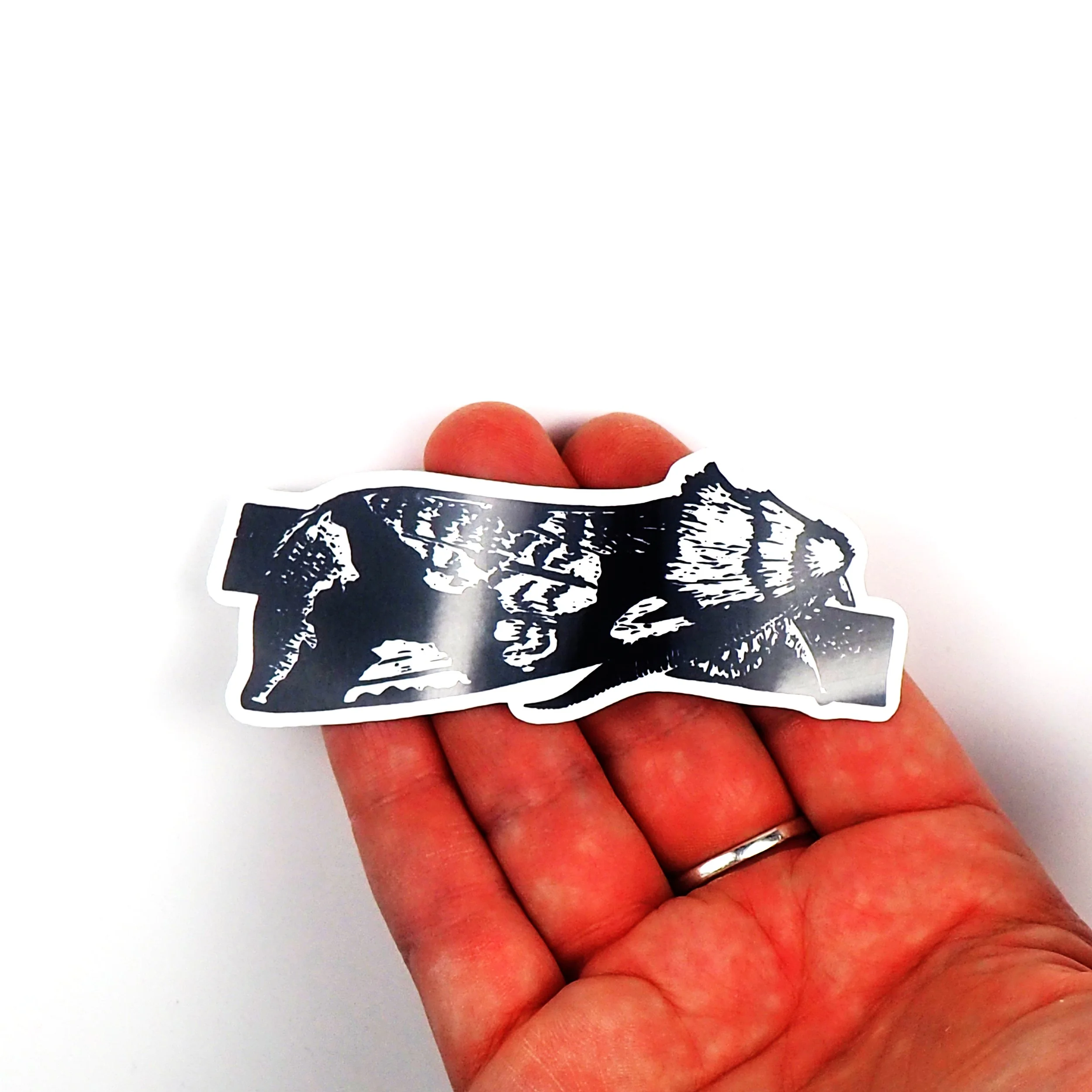 Lichen Moth sticker