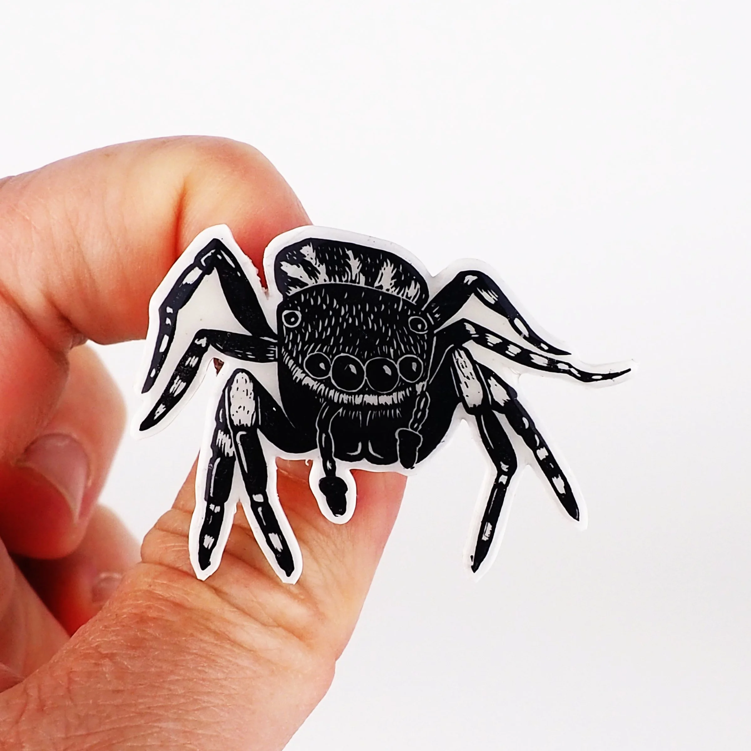 Jumping spider pins
