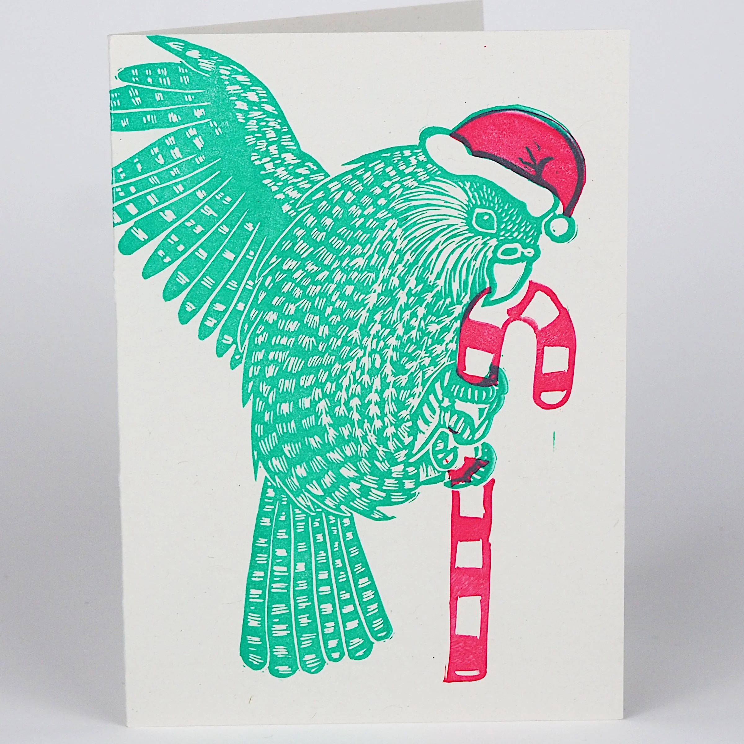 xmas kakapo card closeup.jpg