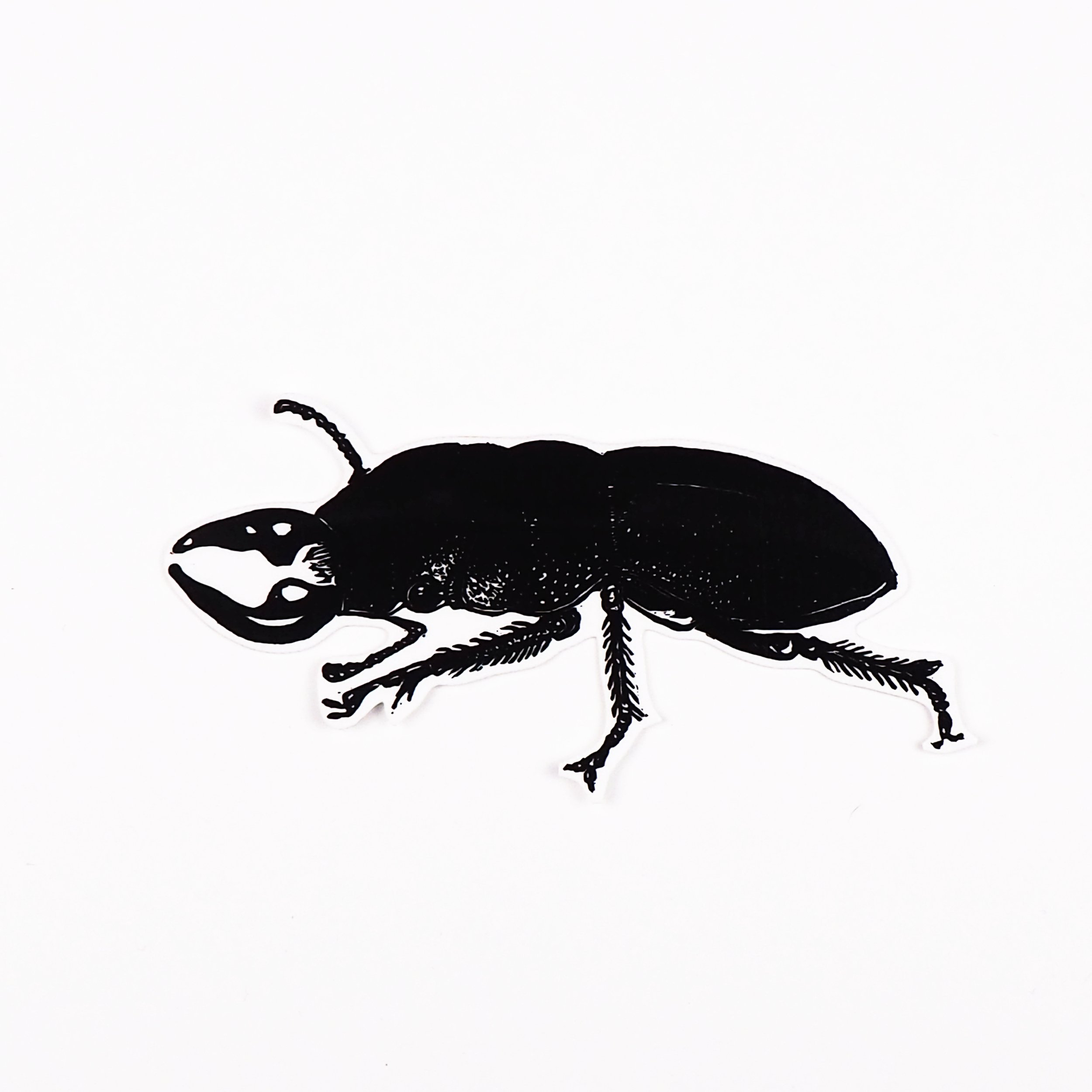 beetle_sticker.jpg