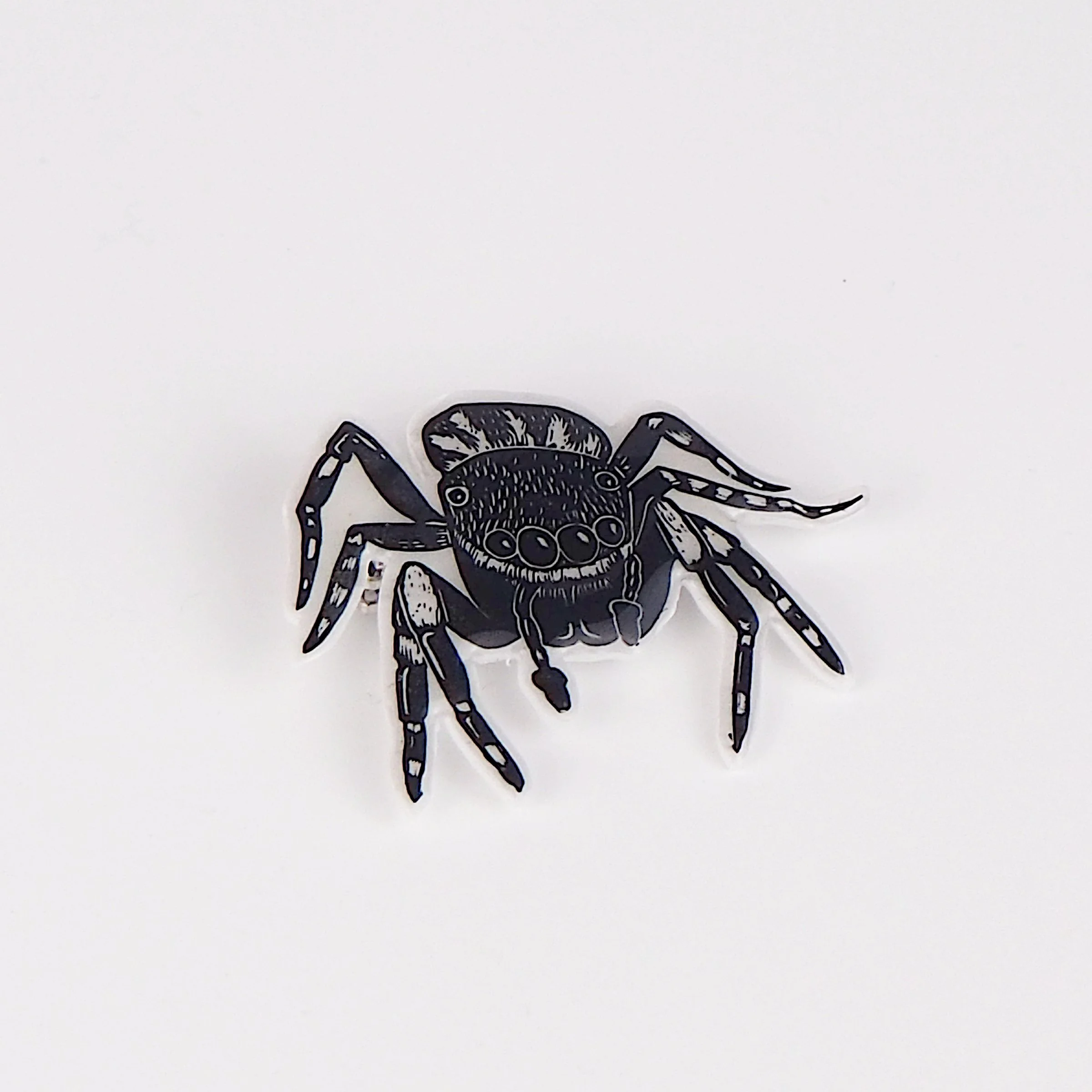 spider nosparkle.JPG