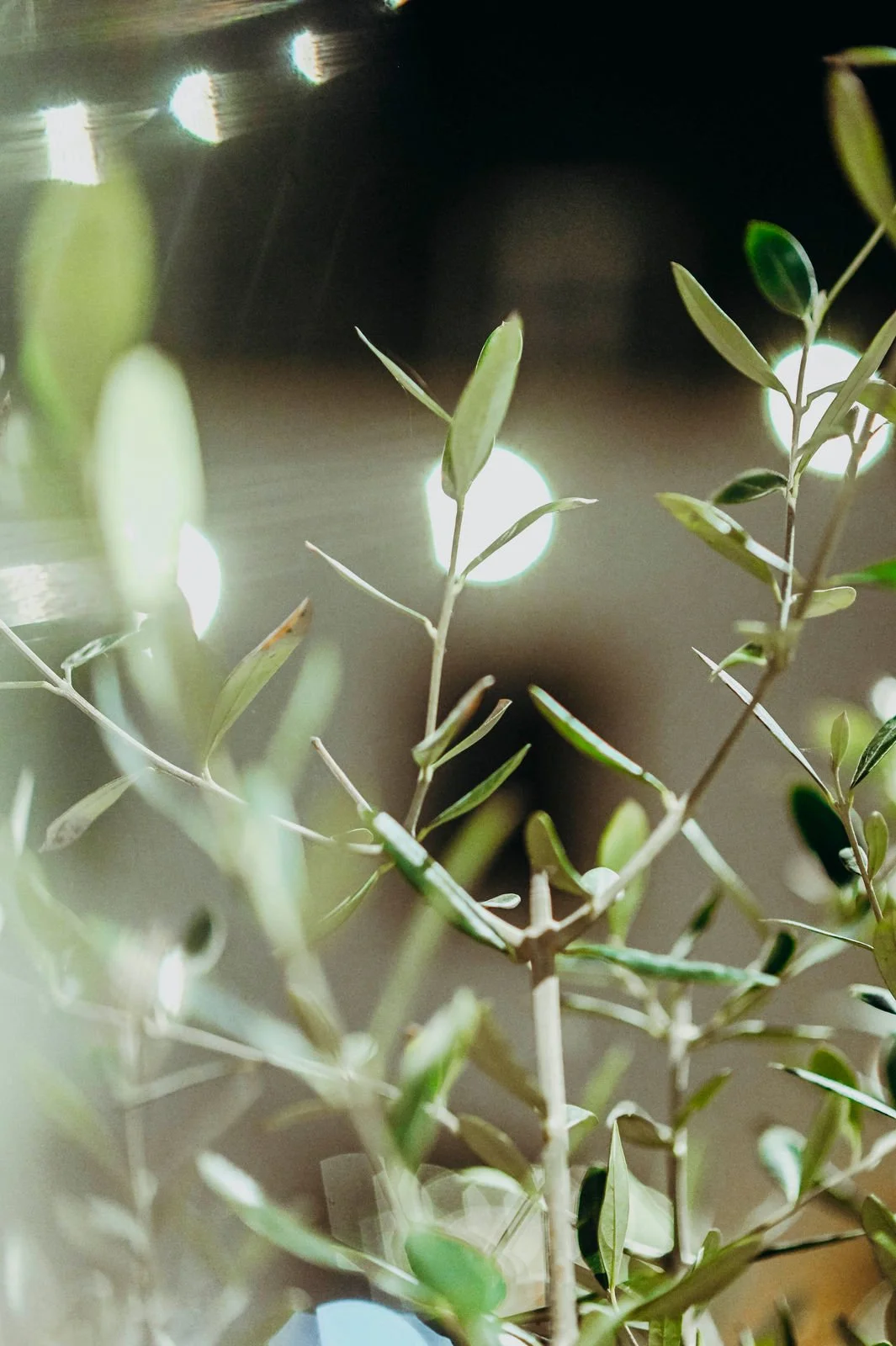 23 - www.germainenassal.com_DSC2919.jpg