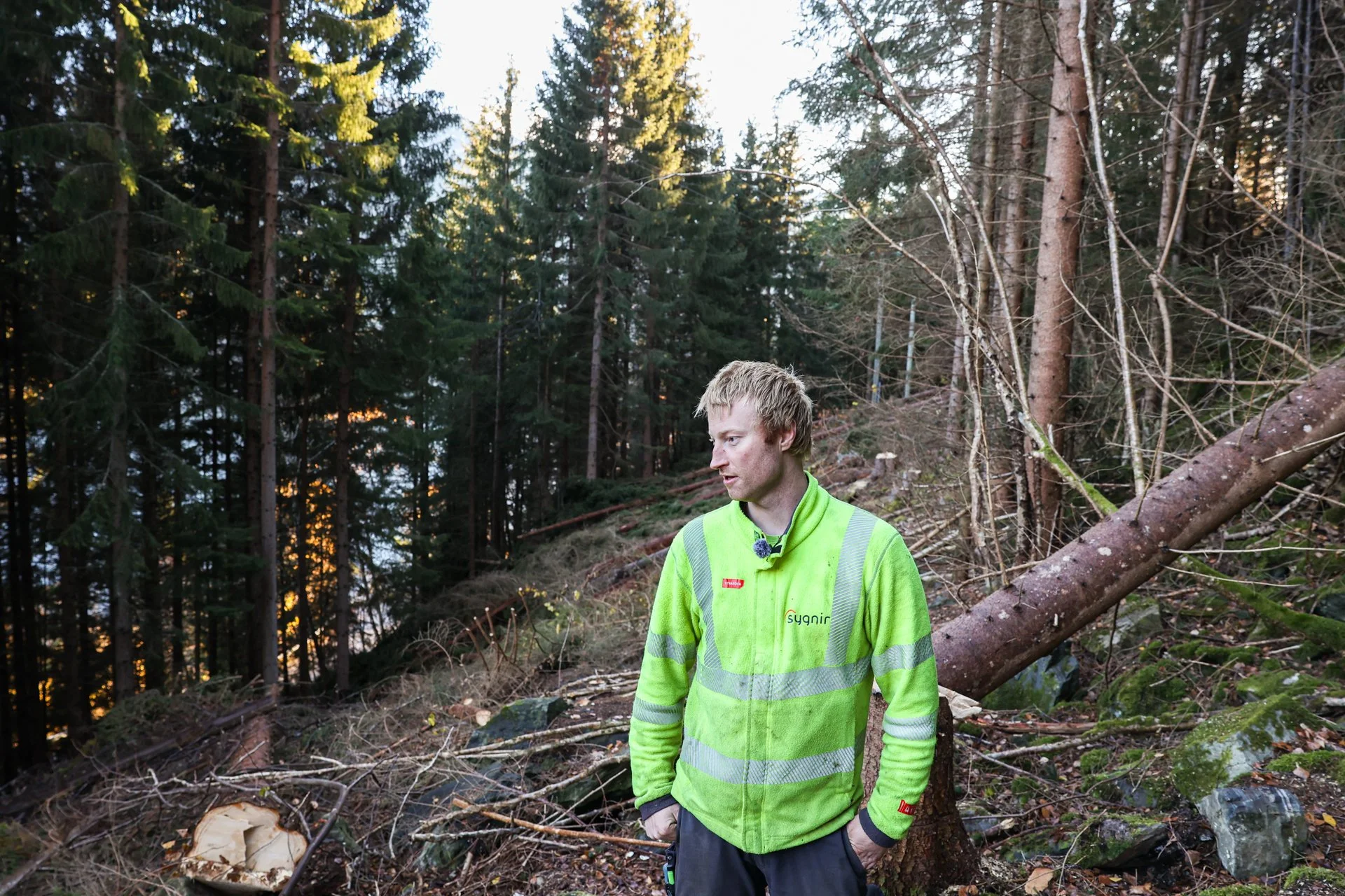 Odbjørn Eggum ser på nedhogde og falne tre.