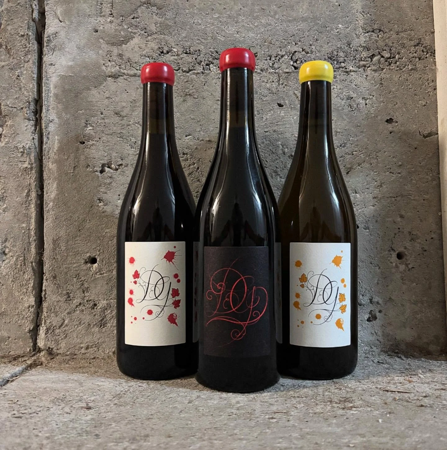 Arrivages chez @pompette.ch les derni&egrave;res cuv&eacute;es de notre ami @d.guadagnolo_viticulteur qui nous r&eacute;gale avec un Mill&eacute;sime 2023 superbe de puret&eacute; et de buvabilit&eacute;.
En blanc, deux expressions bien distinctes de