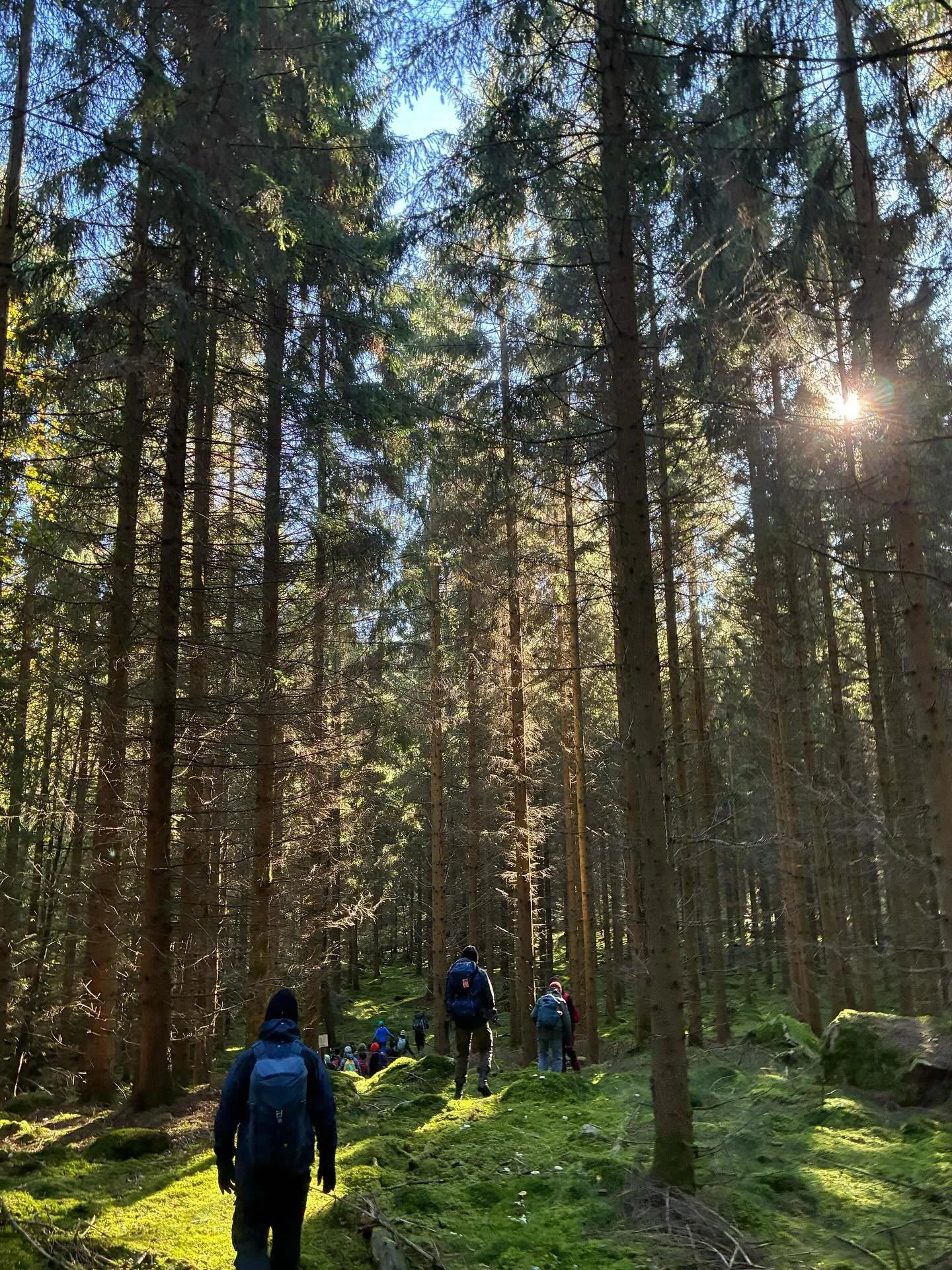 Under en kall men solig helg har Scoutkåren Finn haft höstläger. Firandet av Finn som i år fyller 115 år fortsätter! #scoutkarenfinn #scouterna #höstläger #finngården