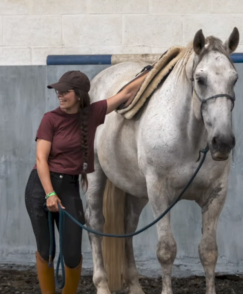 Emotional Horsemanship