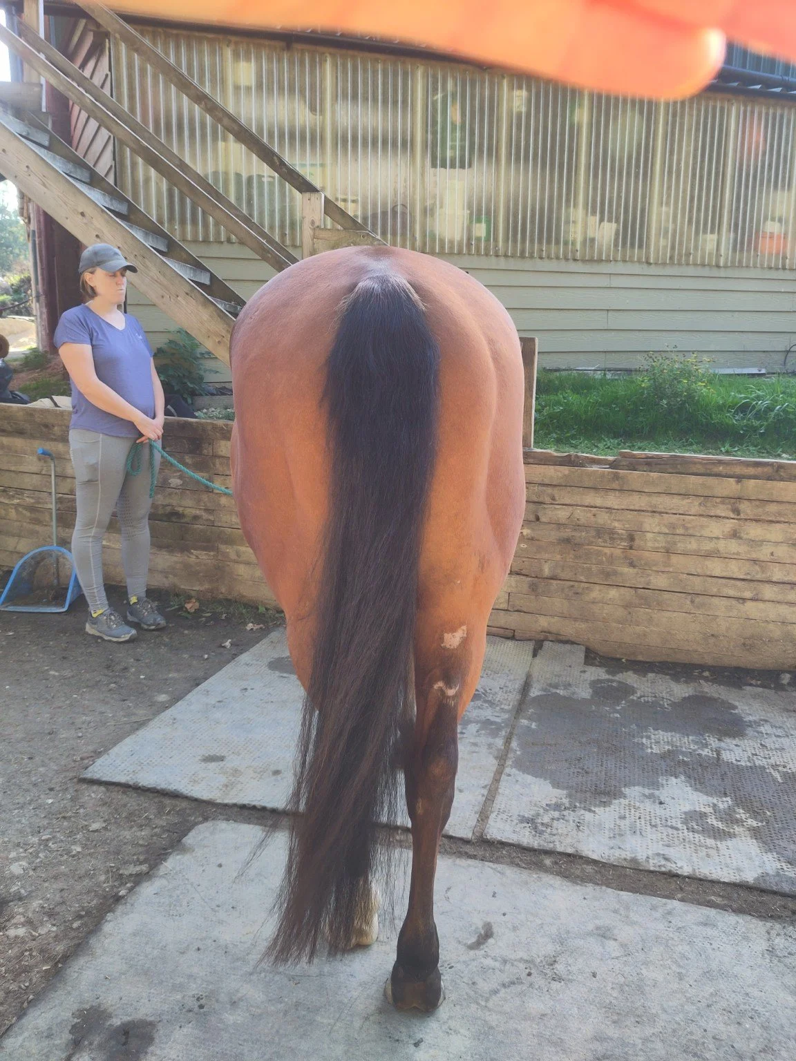 Before treatment: rear view