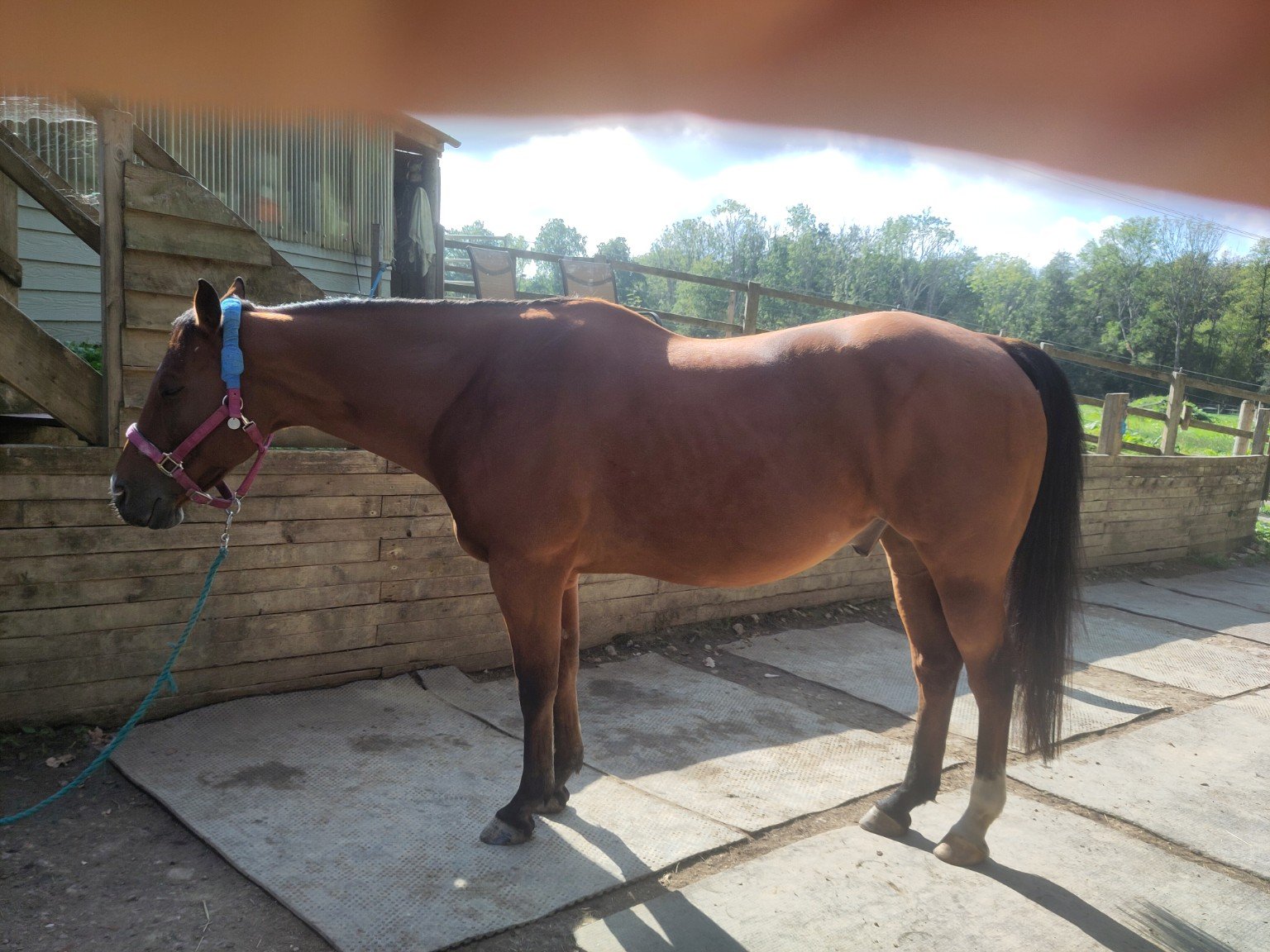 After treatment: left-side view