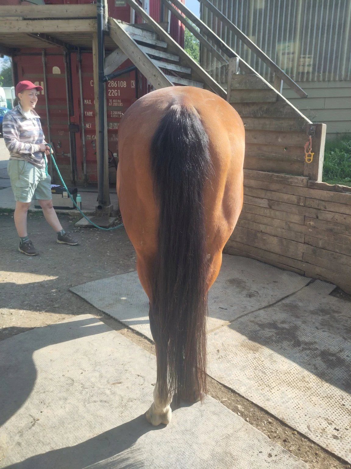 After treatment: rear view
