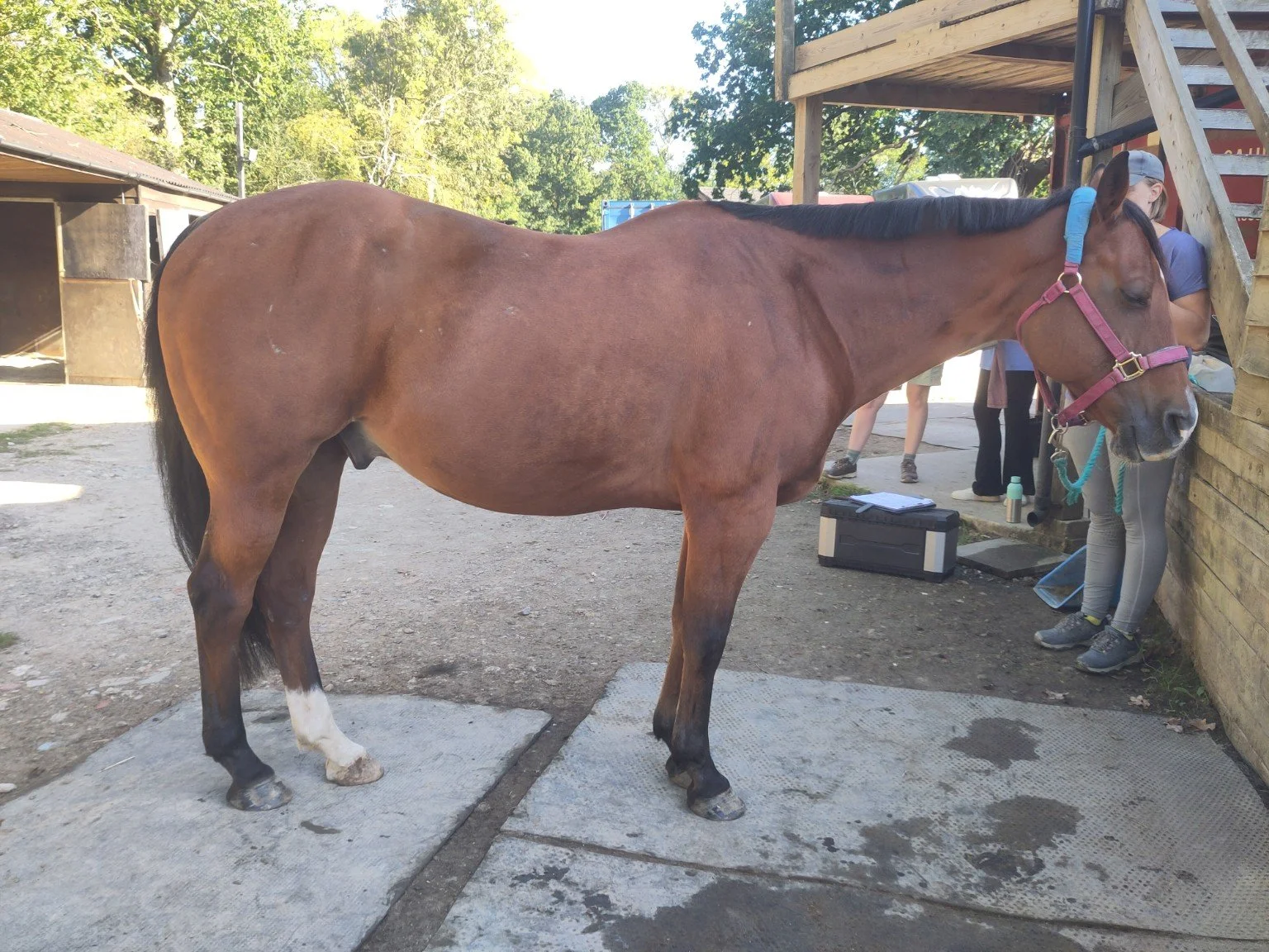 Before treatment: right-side view