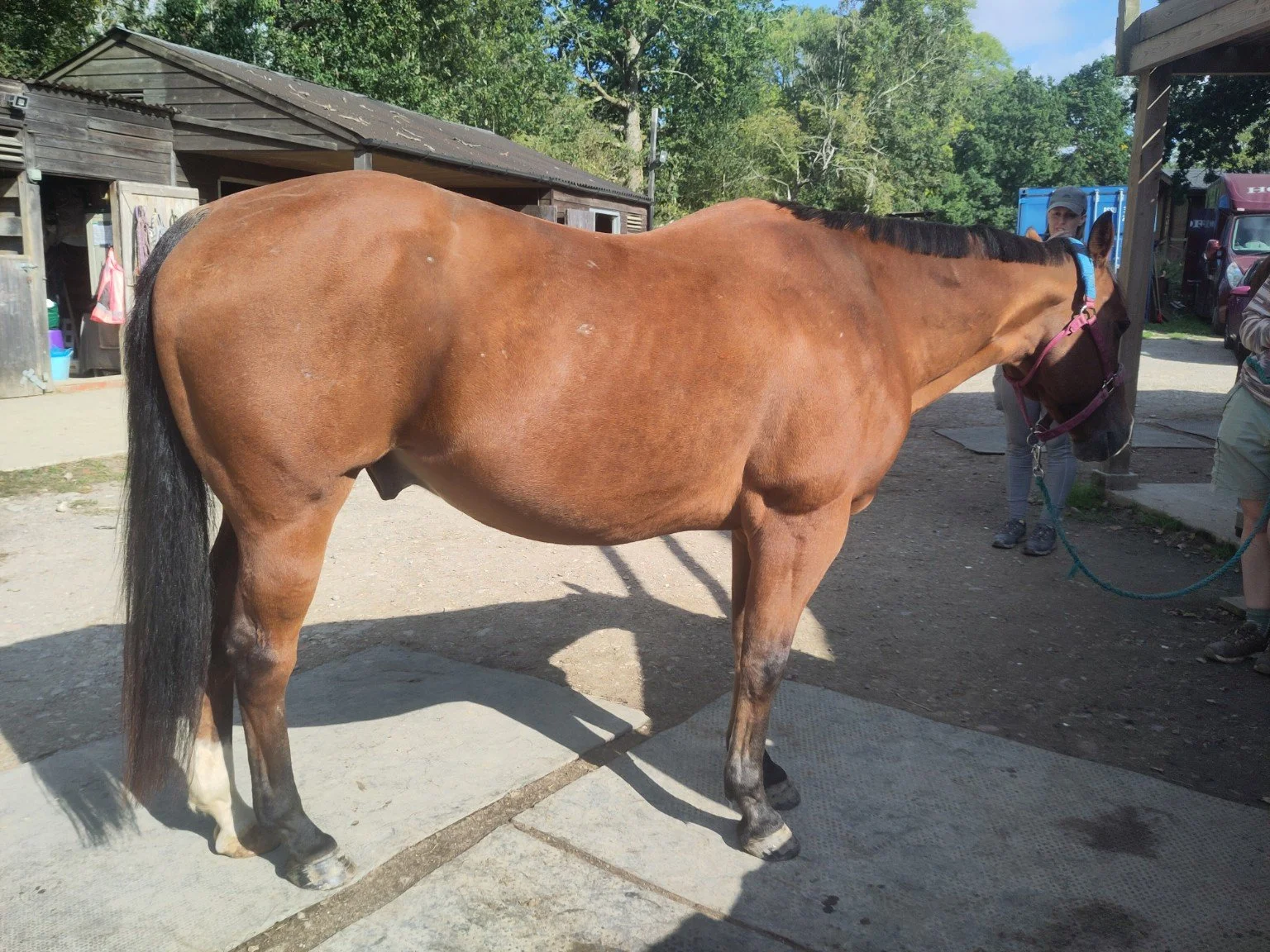 After treatment: right-side view