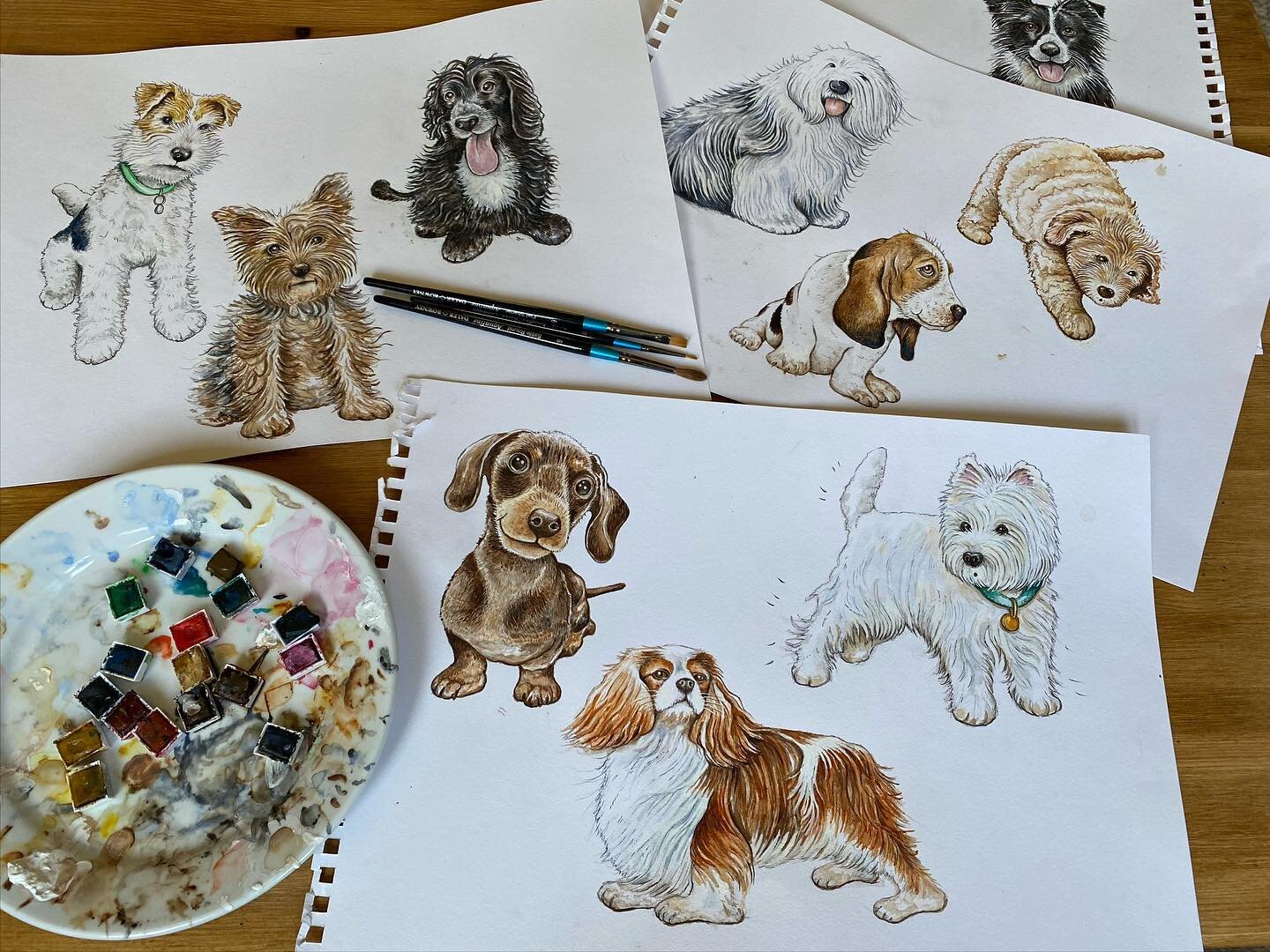 Hello. I painted some dogs recently, following a commission from one of my lovely followers who is opening a dog grooming company, and she wanted a logo, leaflet and business card designed. 

My aim here was to create characters as with all my animal