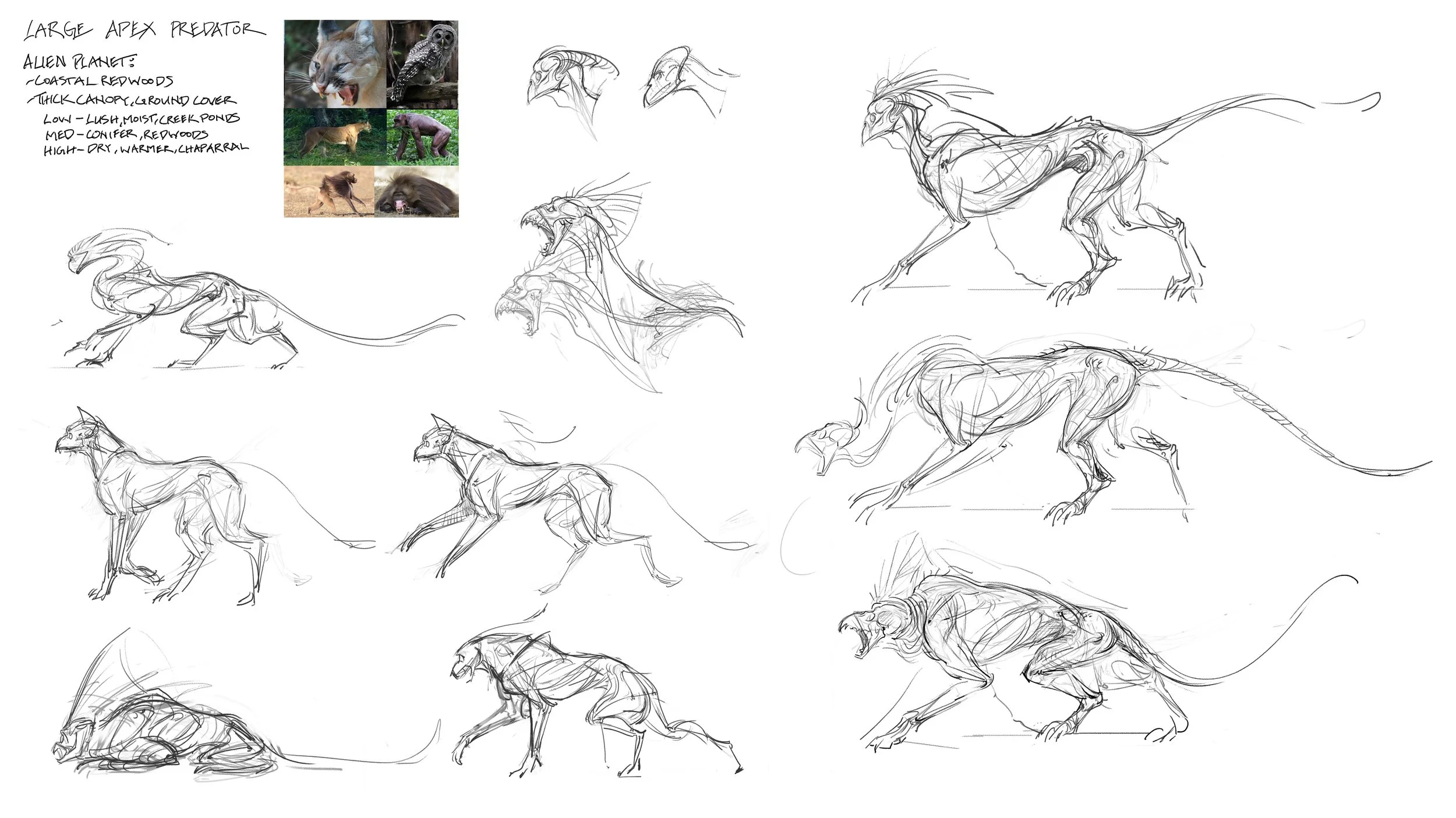 phoebewang.art_creature design sketches_v02.jpg