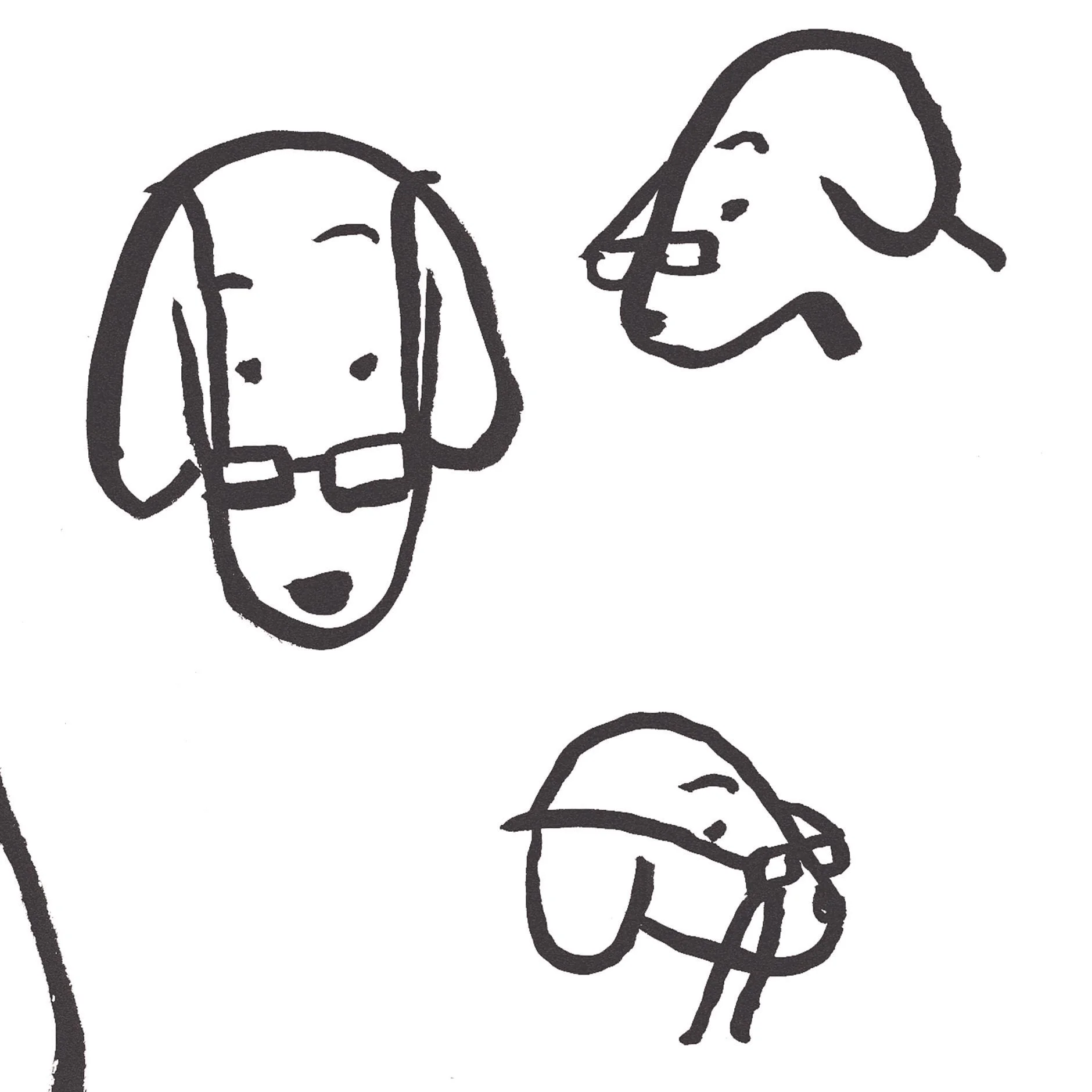 Who, Me dog close up 2.jpg