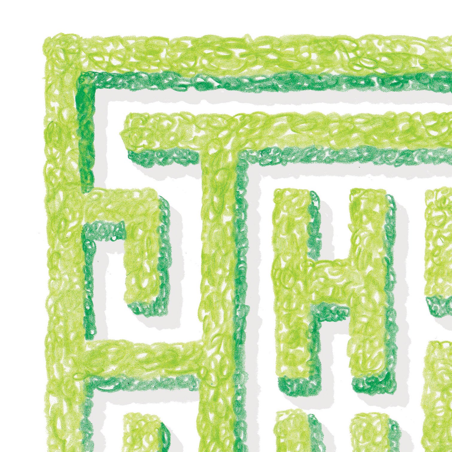 HELP hedge maze close up 1.jpg