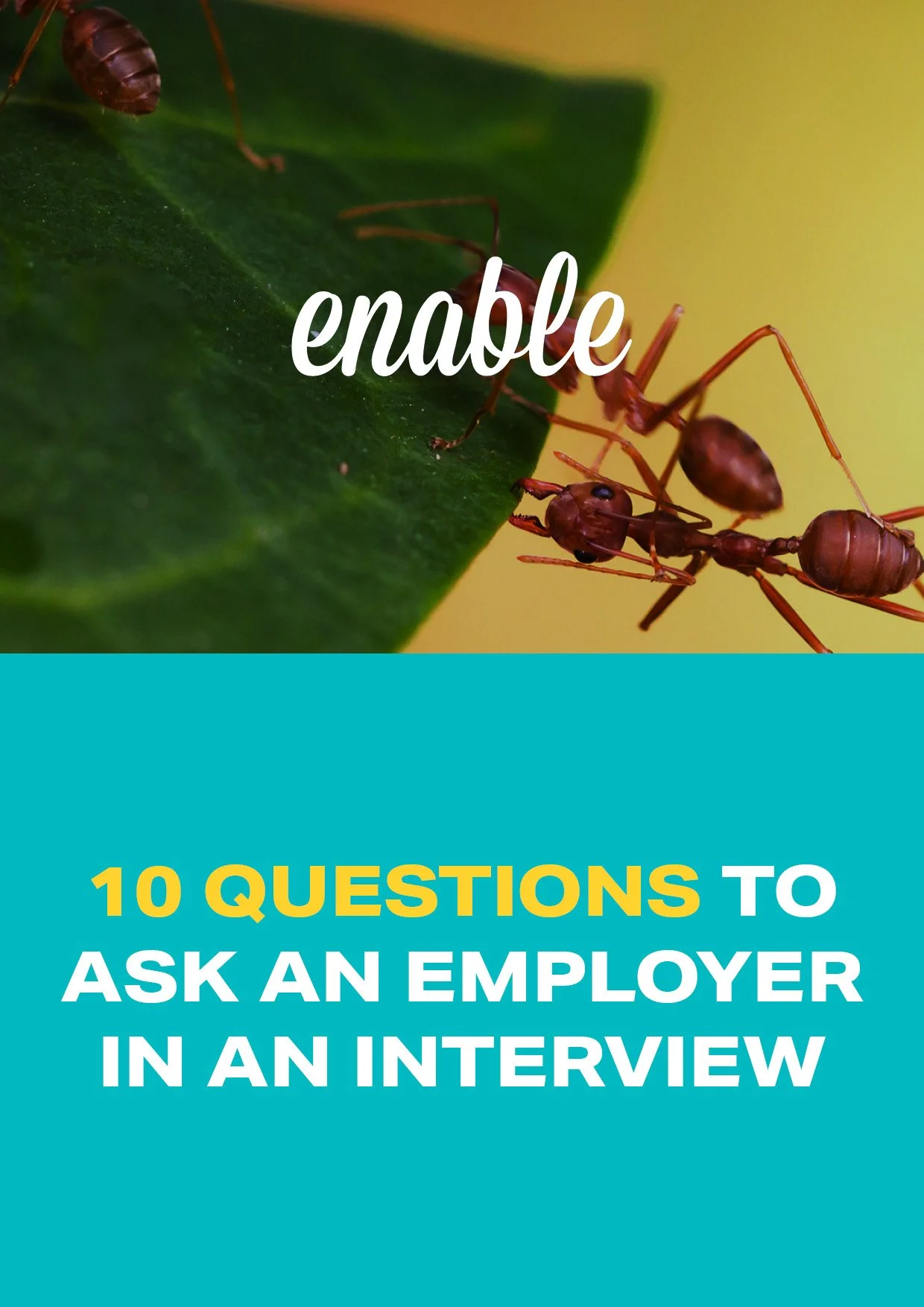 10 Questions To Ask An Employer In An Interview — enable