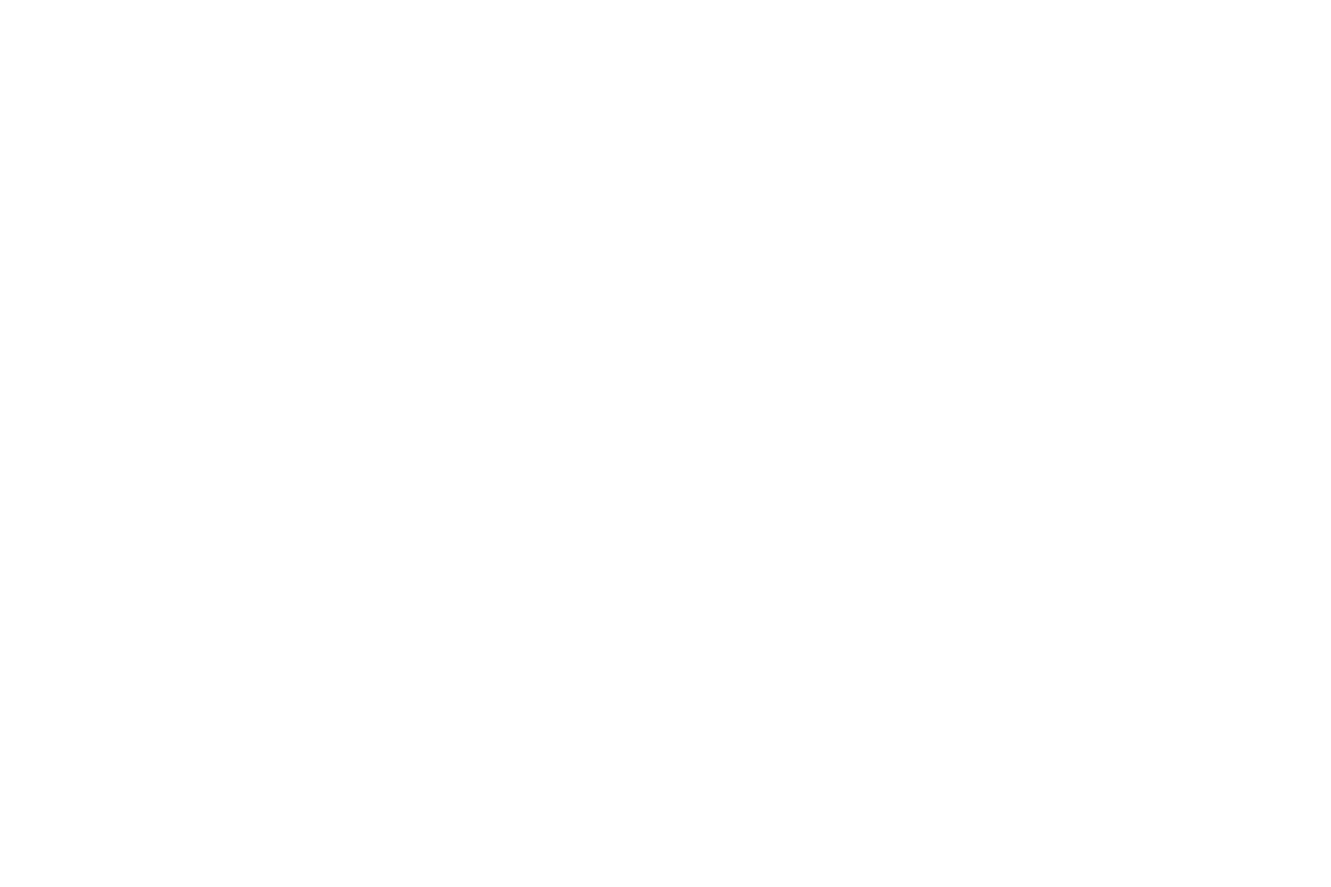 FSC-branco-transparente.png