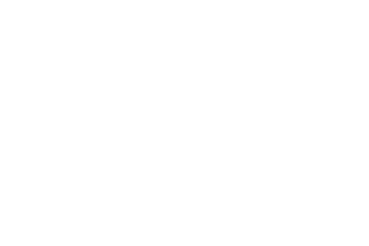 WGSN-branco-transparente.png