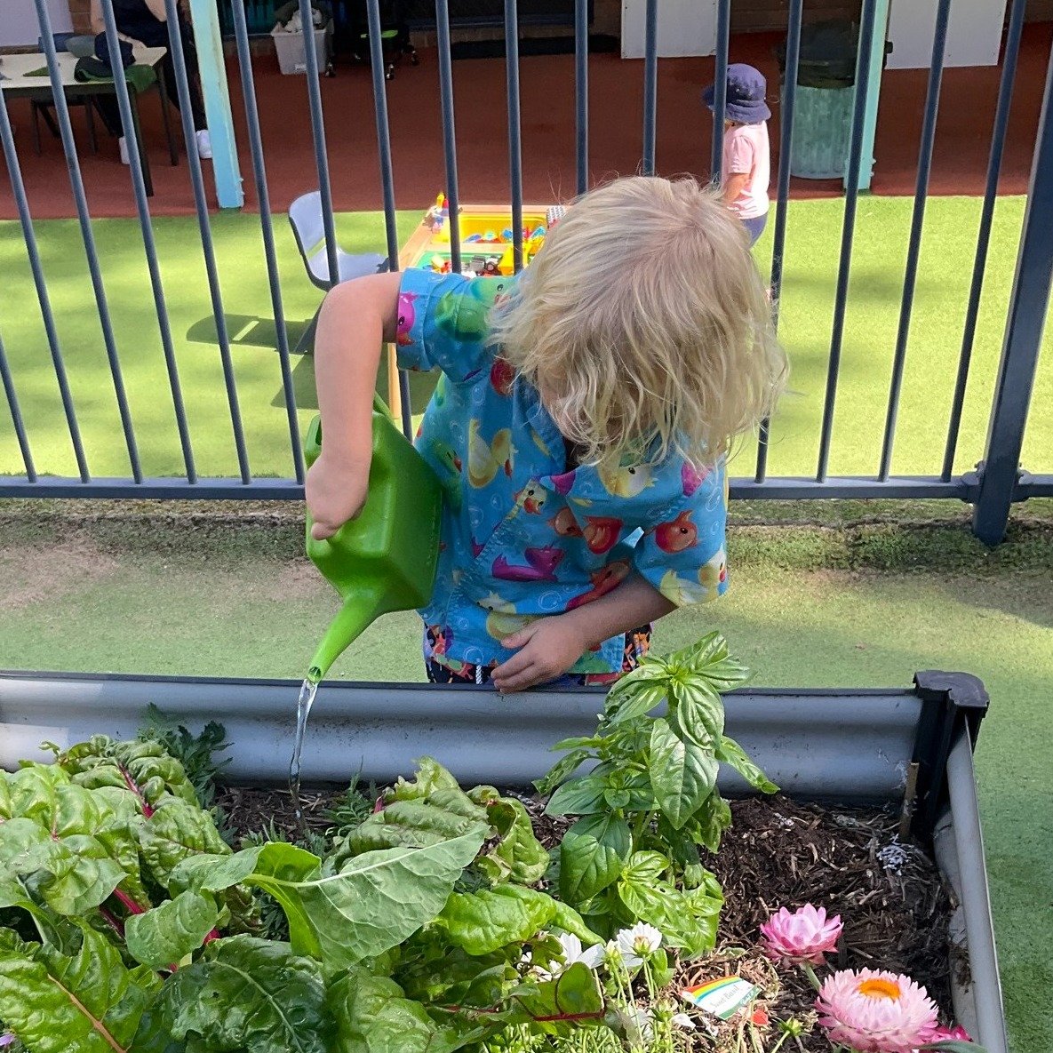Armed with watering cans and big smiles, our little gardeners took great care in watering the tall plants today. 🌱🌿

Activities like this help children understand responsibility and nurture empathy as they care for living things. It also strengthen