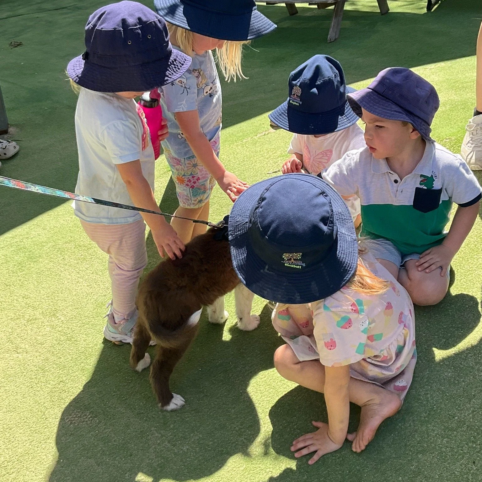 Our babies&rsquo; room was full of giggles today as we played with a friendly puppy! 🐶💕 We gave cuddles, practised gentle strokes, and shared so many smiles together. Playing with animals helps us feel calm, connected, and teaches us the importance