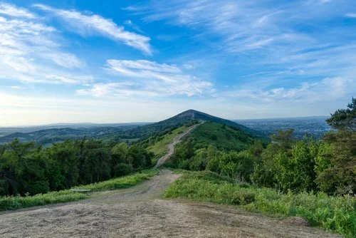 A dirt path leading up a green hill with trees on either side, under a partly cloudy blue sky.