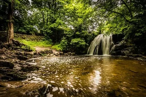 Janet's Foss in the Yorkshire landscape