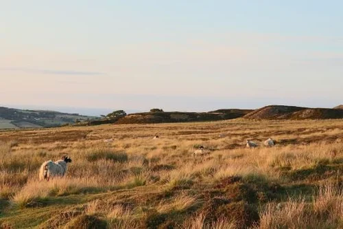 North York Moors landscape