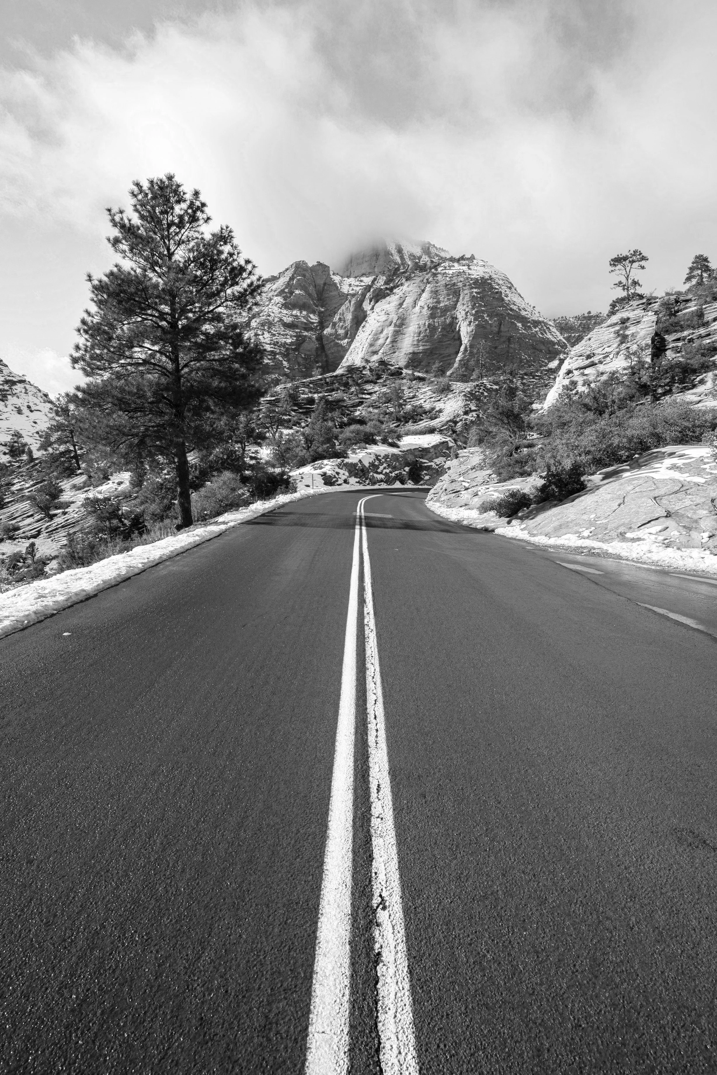 foto+on+the+road+daniel-olah-AsNfzwdcz2I-unsplash+%281%29.jpg