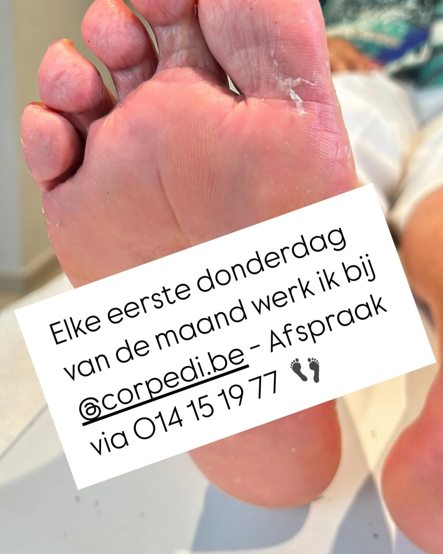 5/12, 2/1/2025, &hellip;. Laat me weten als je graag wil afkomen of als je advies wil, altijd welkom!