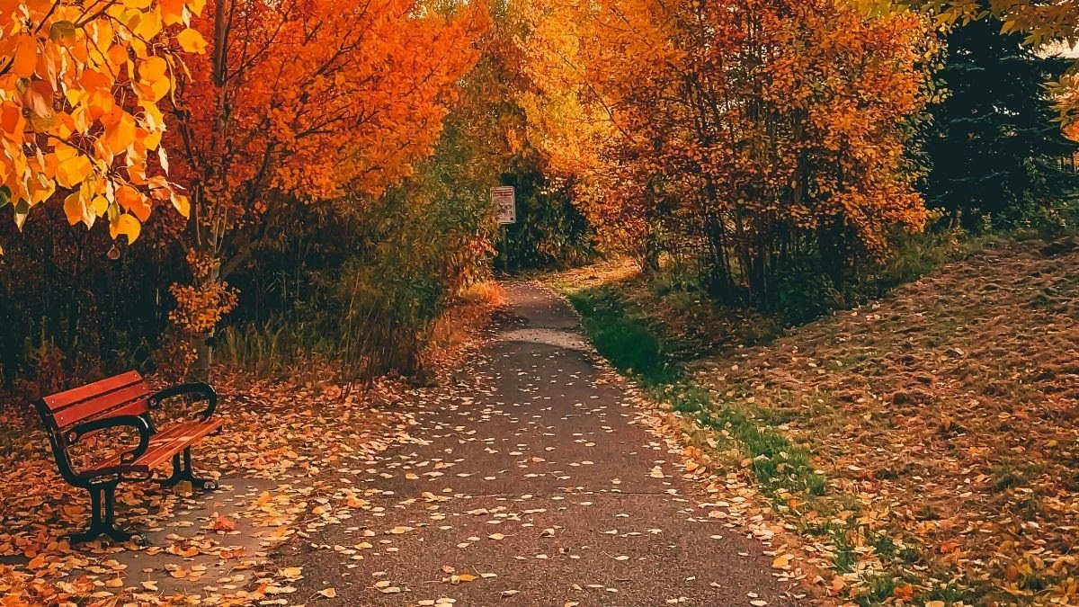 Navigating the Beginning of Autumn&nbsp;with Kindness